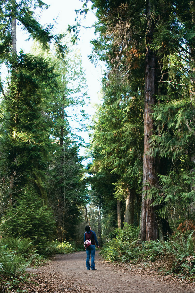 seattle-park-seattle-wa