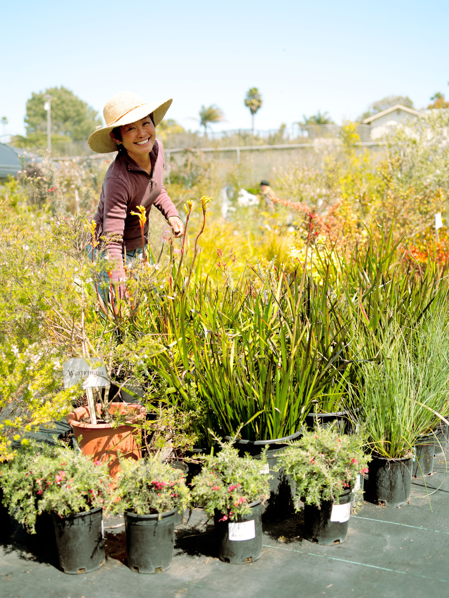 cedros-gardens-san-diego-ca