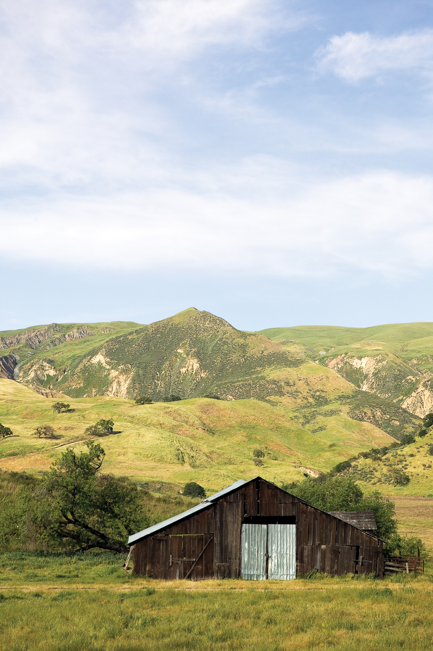 Spring Road Trip to Pinnacles National Park