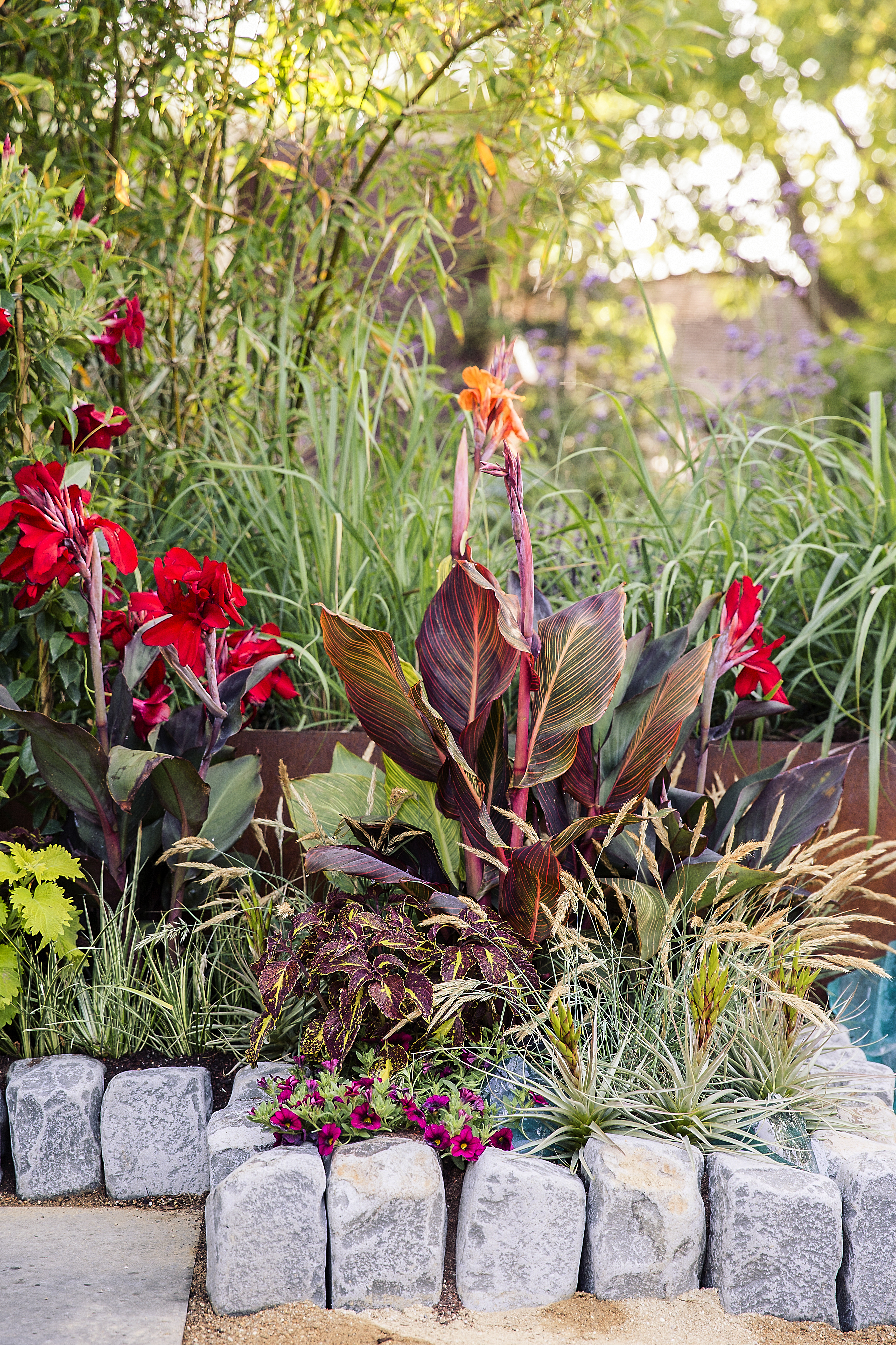 8 Ideas For A Tropical Themed Garden Sunset Magazine