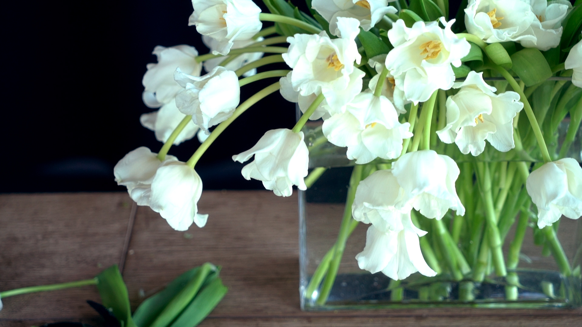 How to Clean and Arrange Tulips