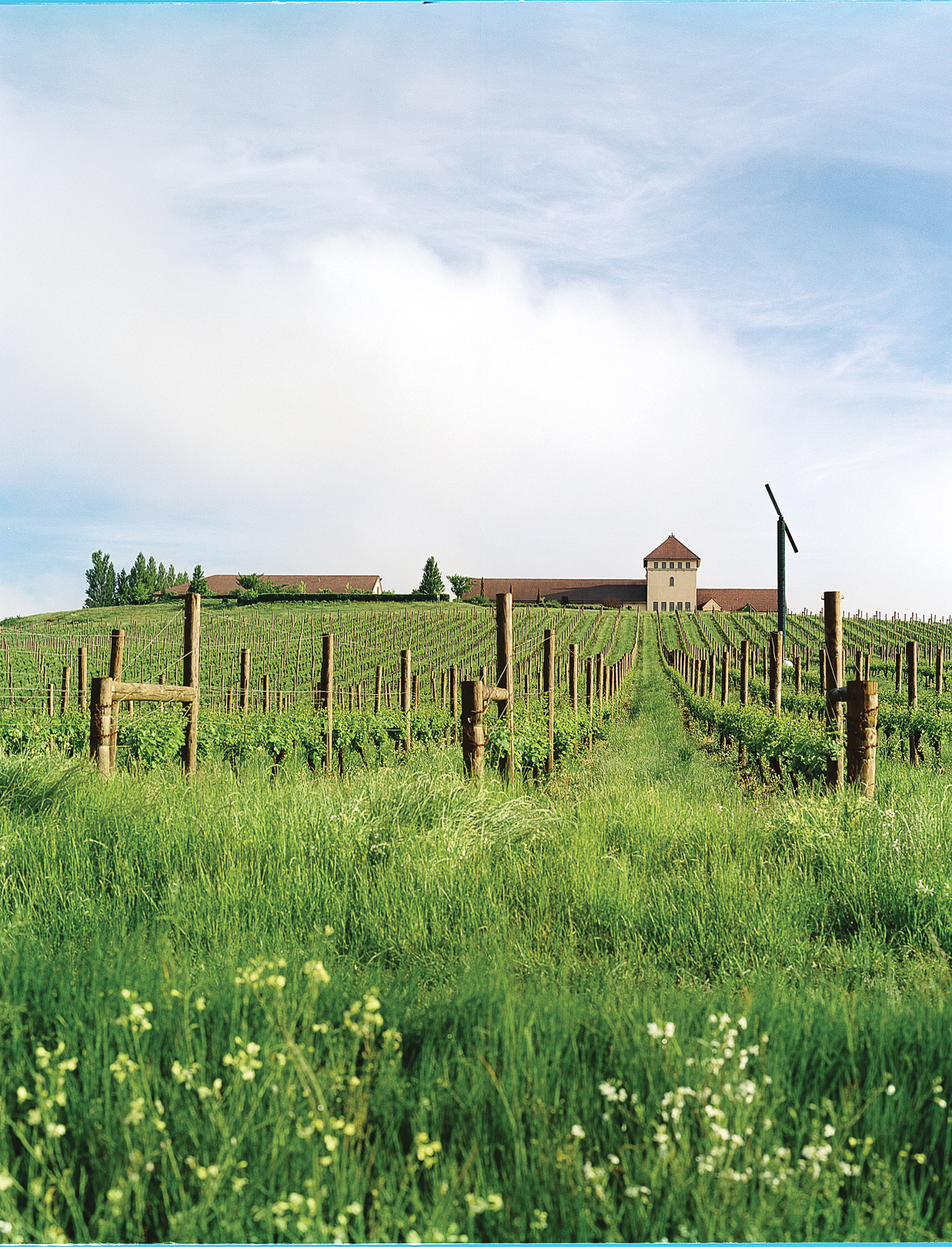 northwest-willamette-valley-vs-eastern-washington