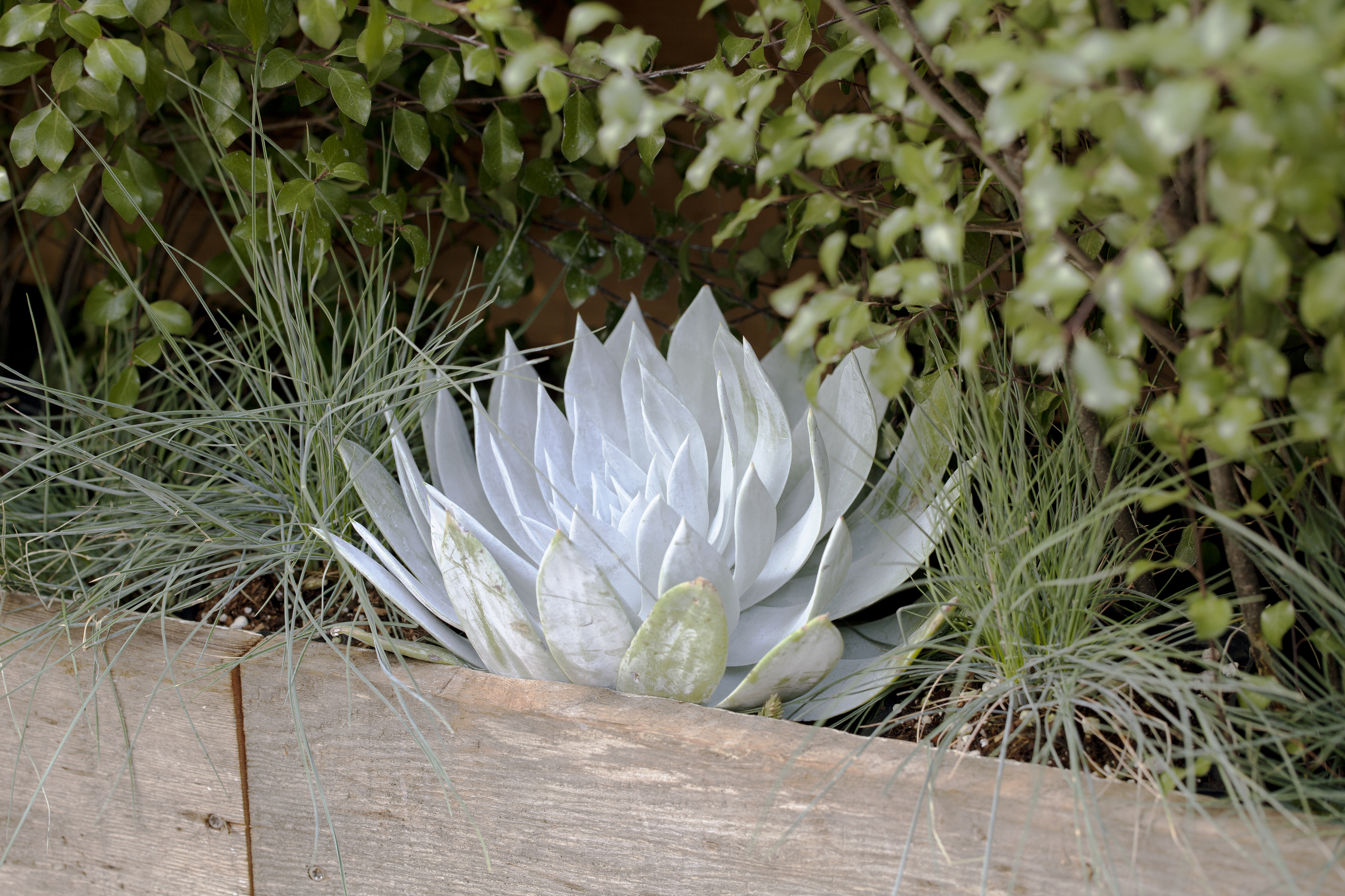 harmonize-the-palette