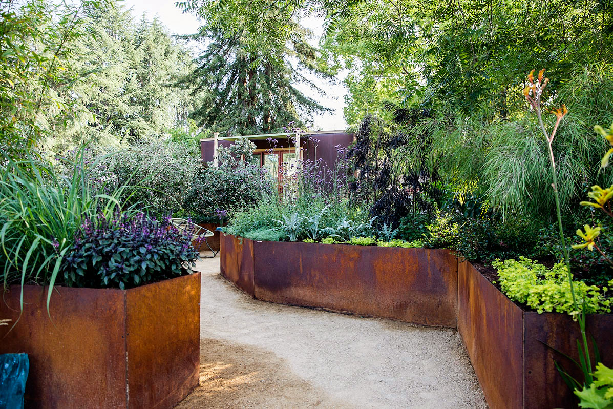 choose-water-wise-plants