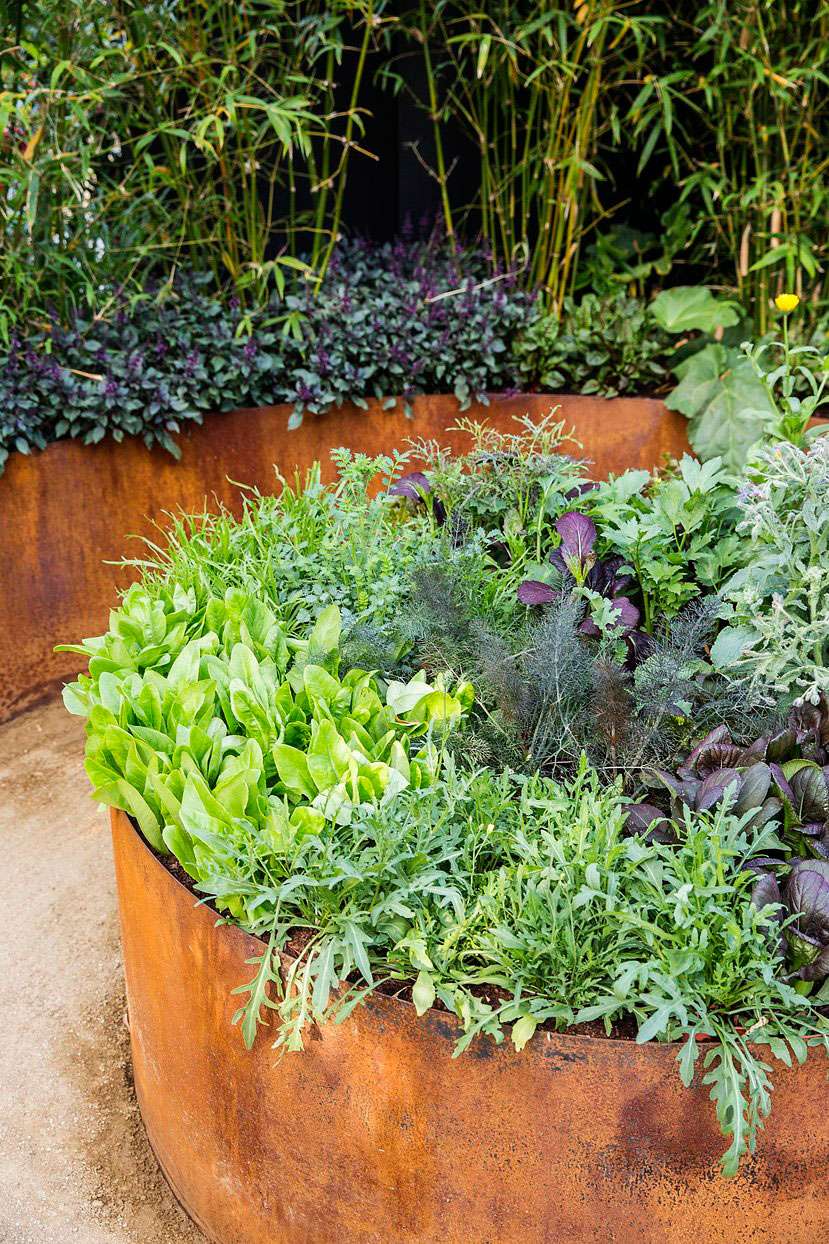 group-plants-thematically