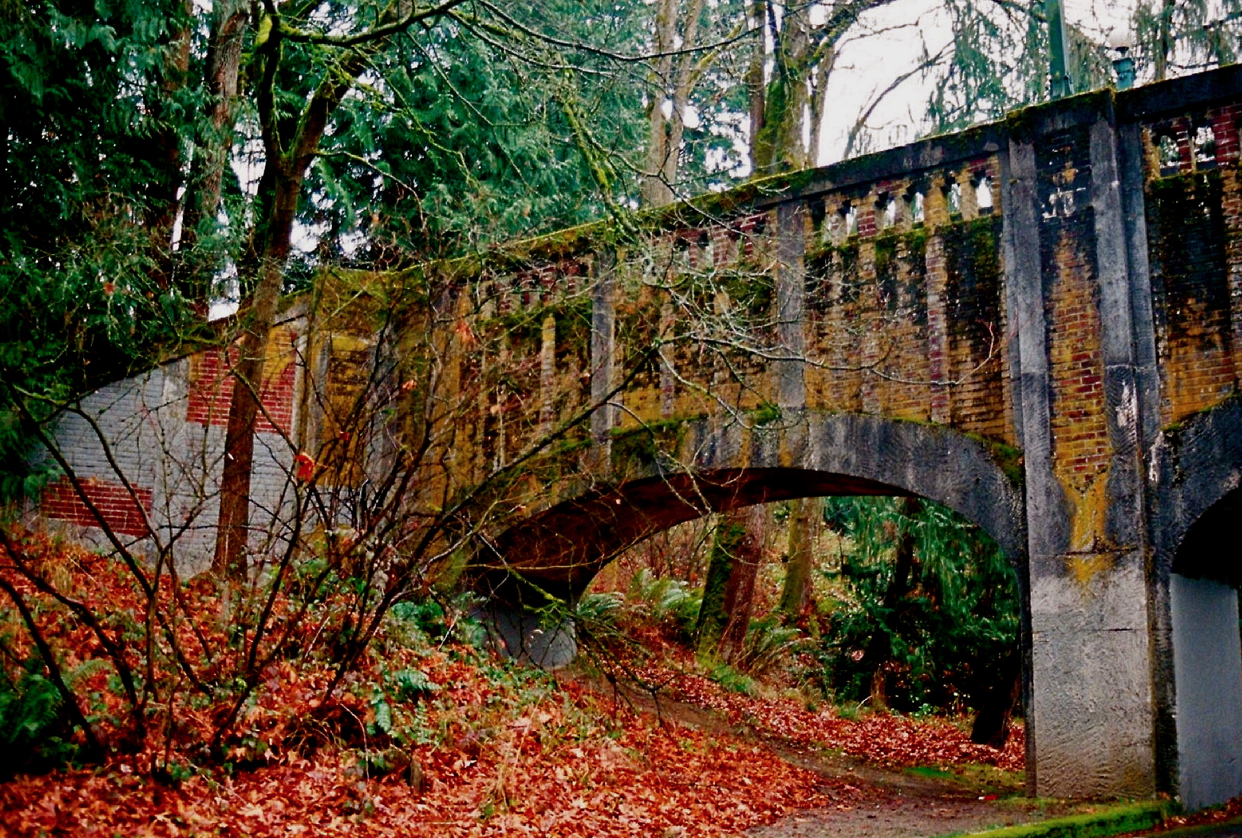 curated-plants-seattle-wa