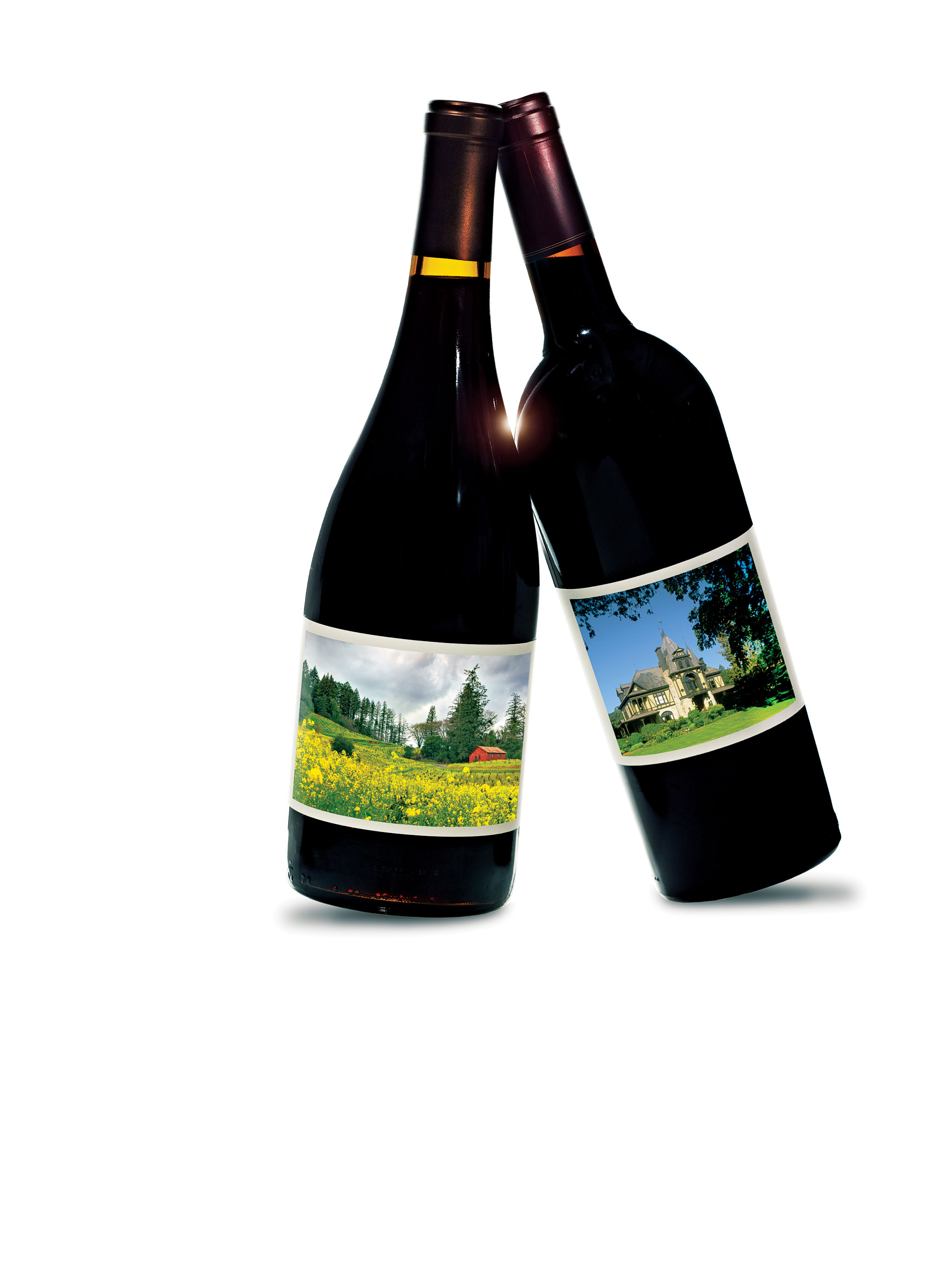 Wine Country Face-Off Results