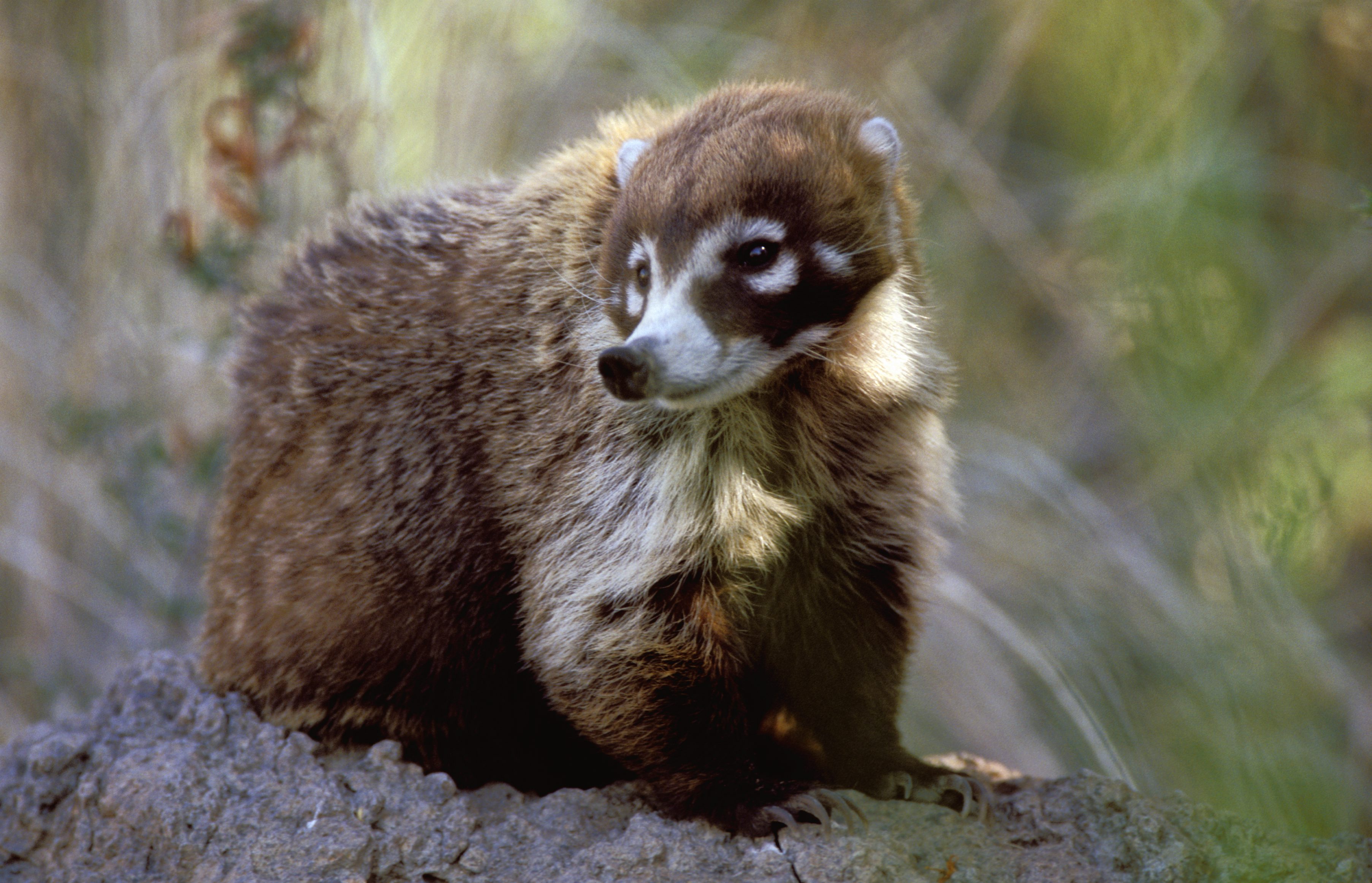 wild-displays-tucson-az