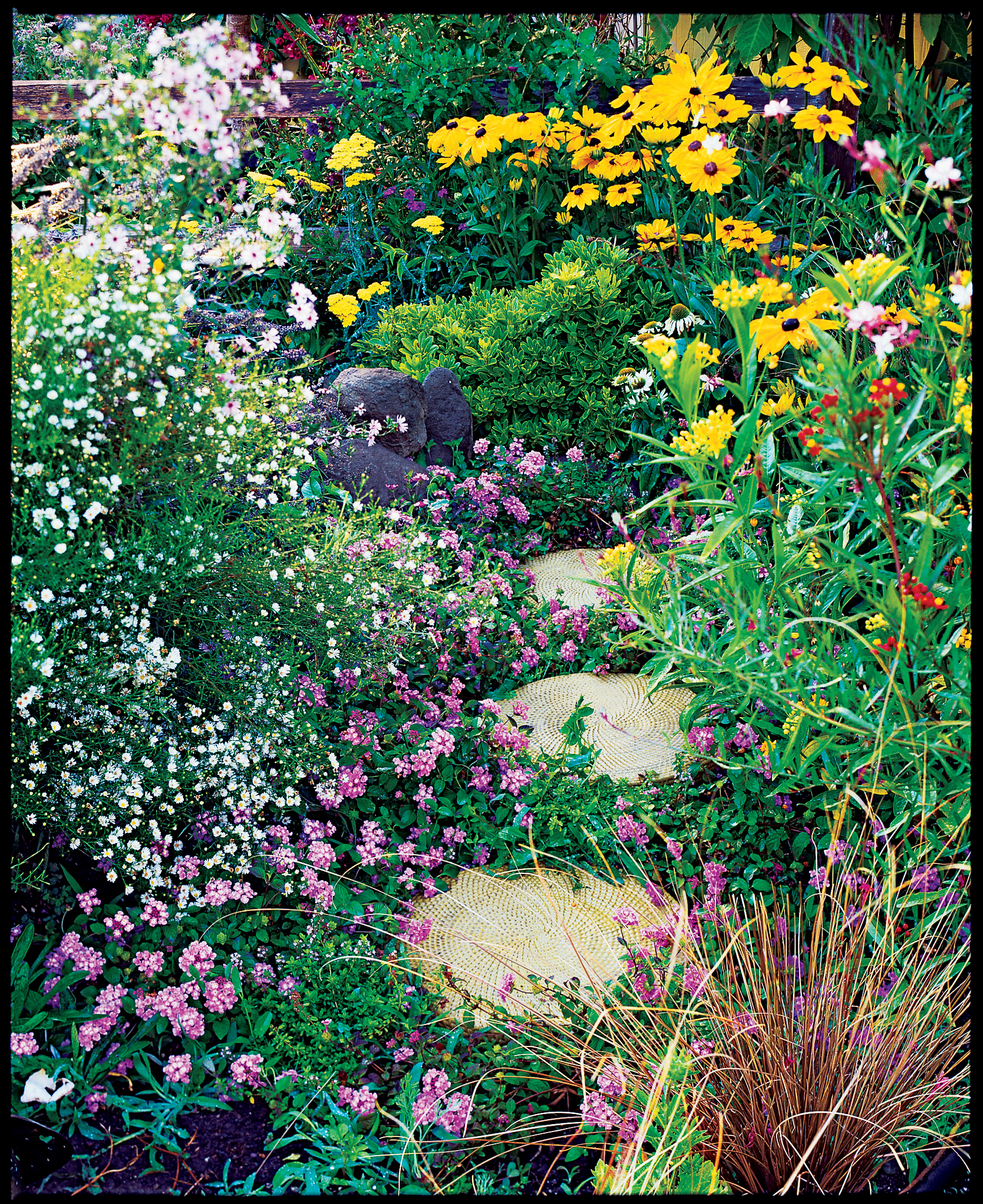 Planting for Butterflies and Bees