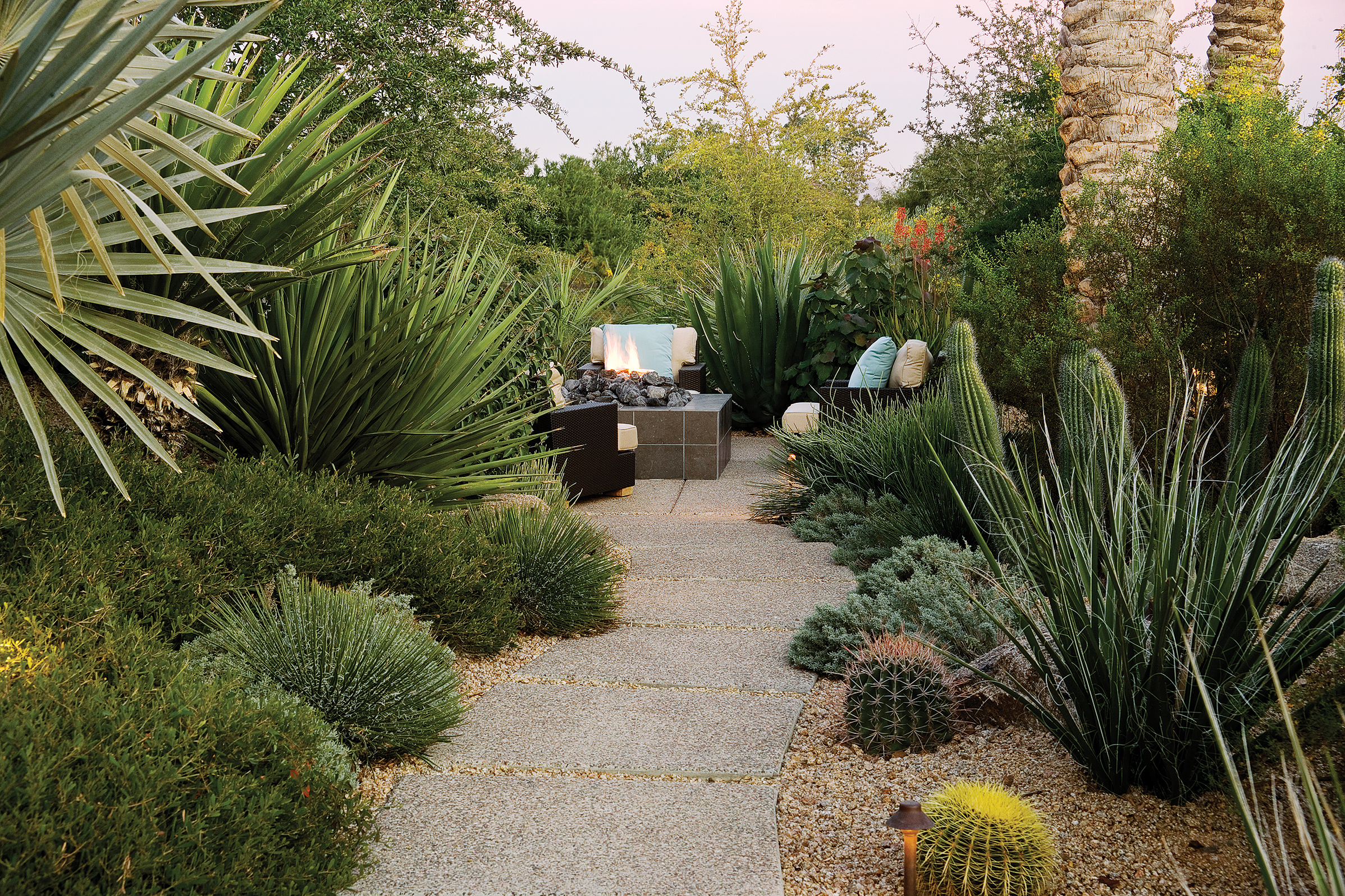 desert-garden-path