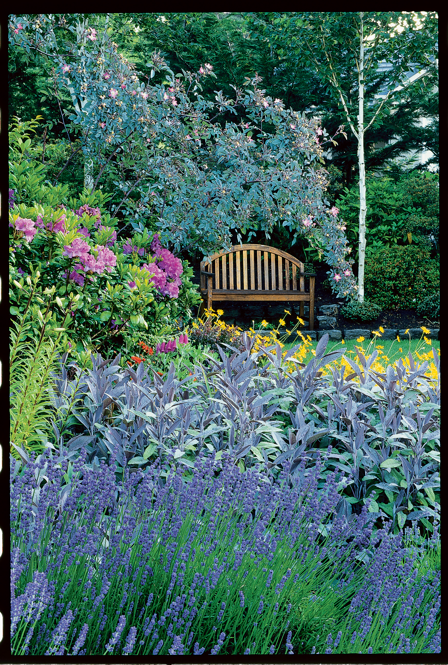 how to grow a cottage garden - sunset magazine