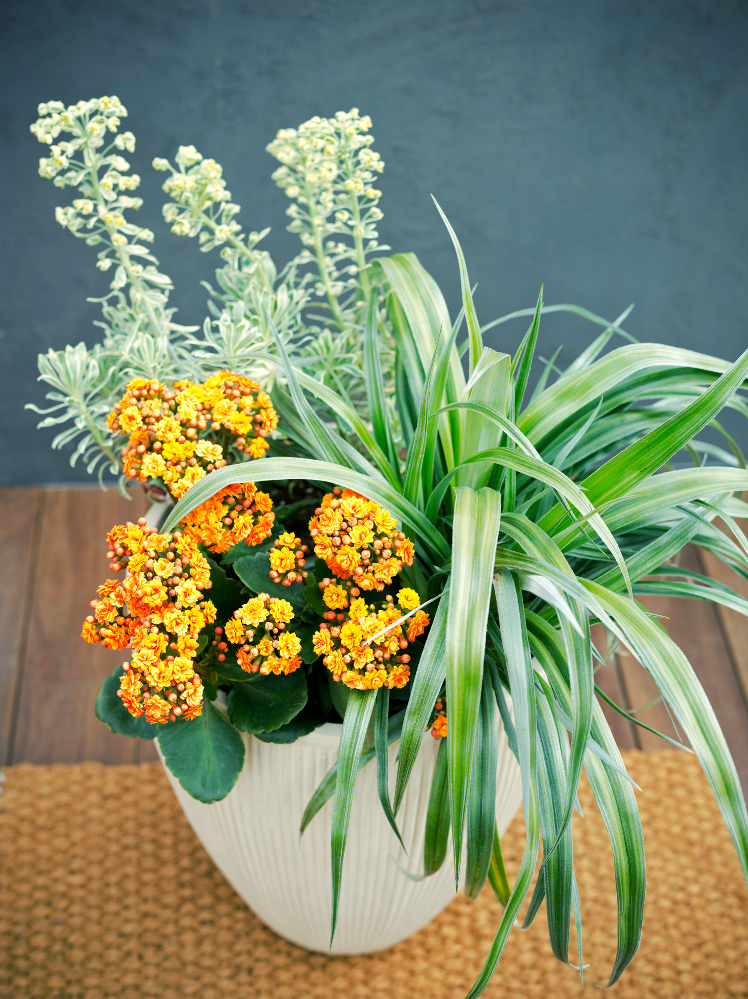 plant-a-colorful-container