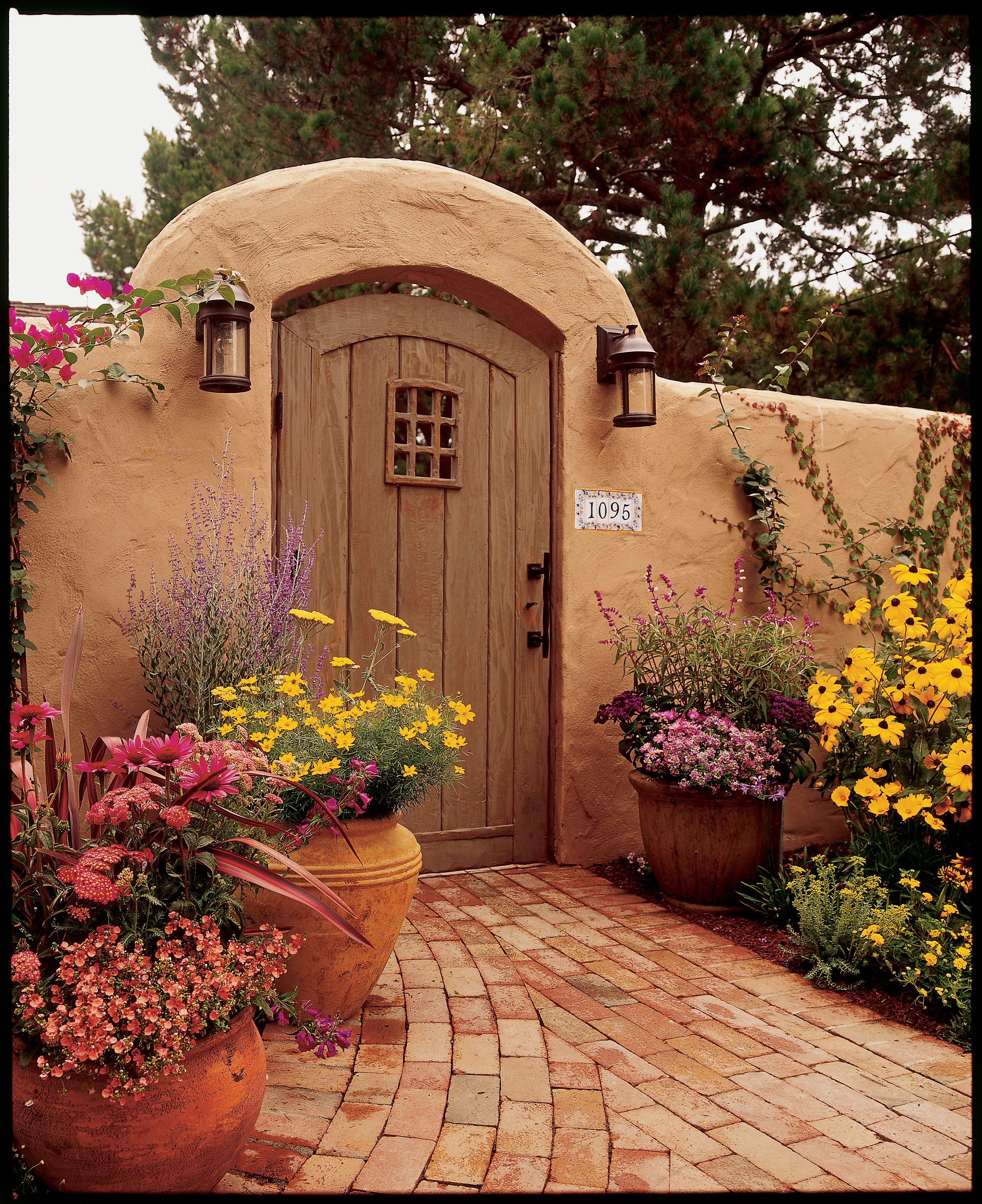 Tried and True Favorites:  Perennials That We'll Always Love