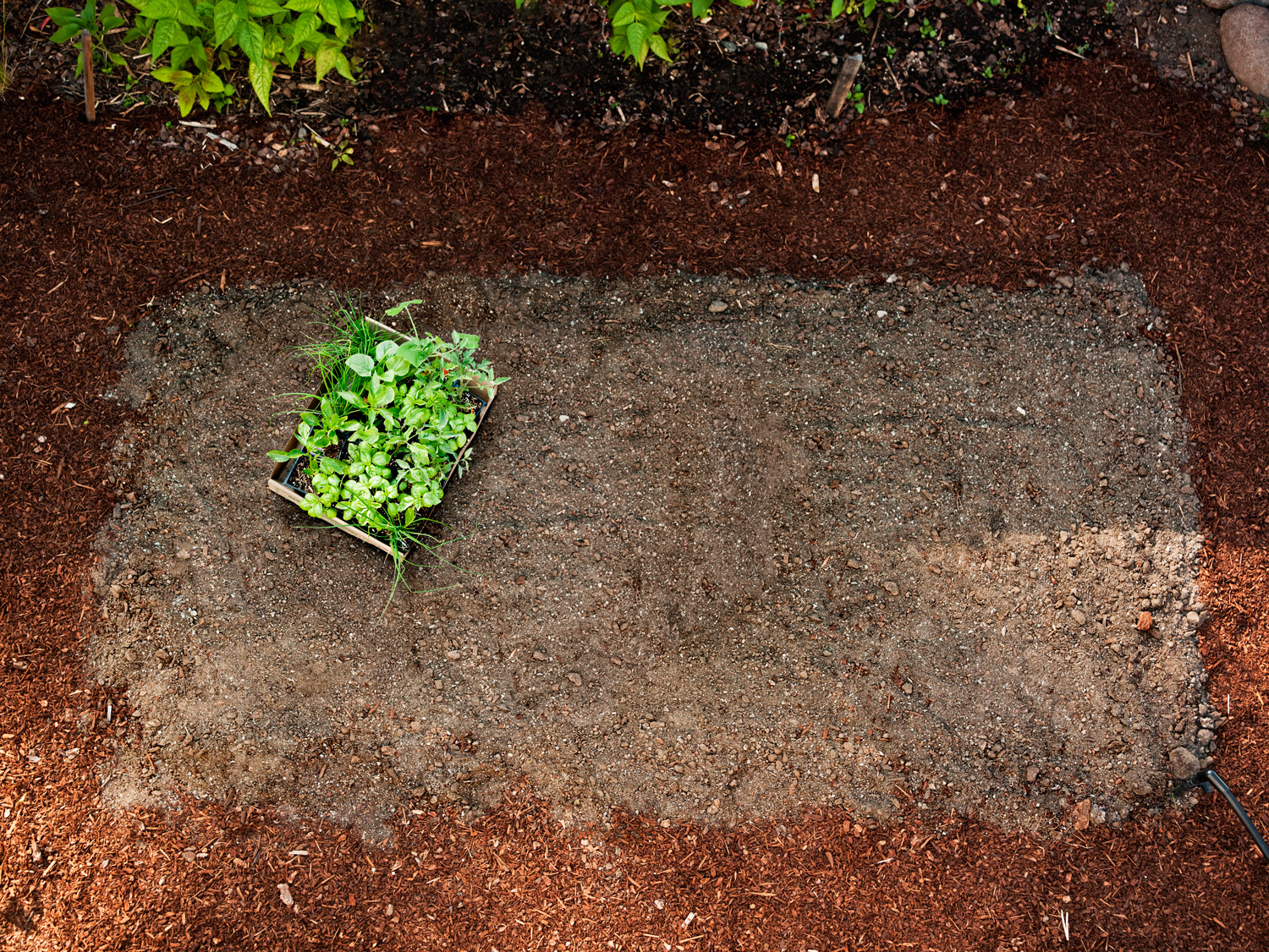 plant-a-veggie-garden-in-a-day