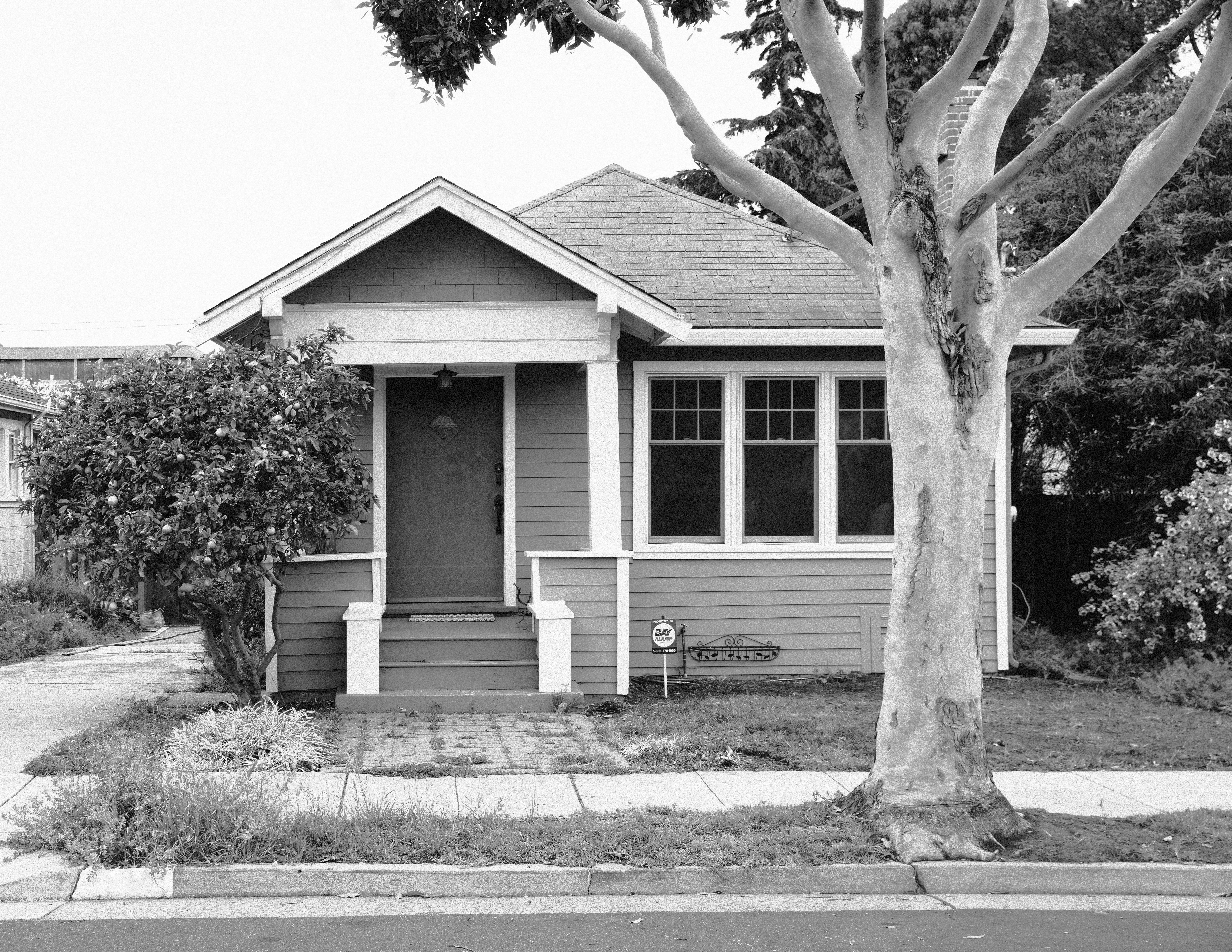 low-water-front-yard-before