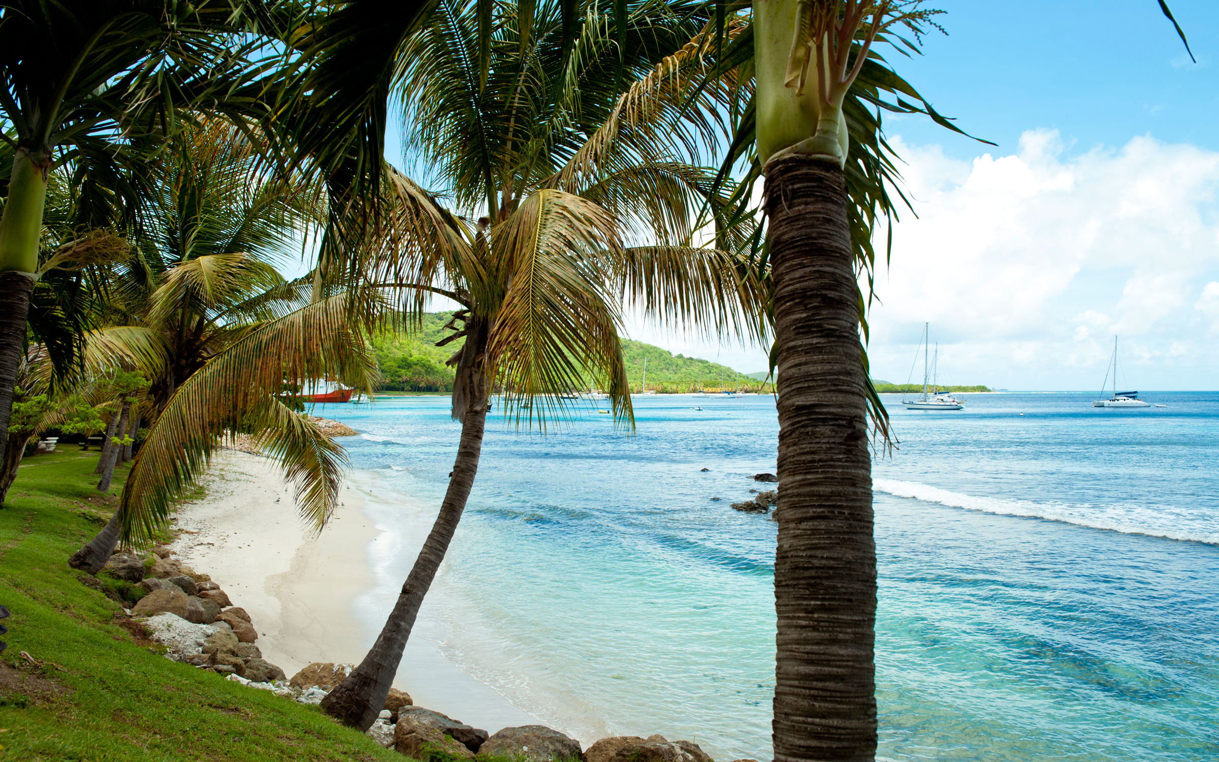 taurus-april-20-may-20