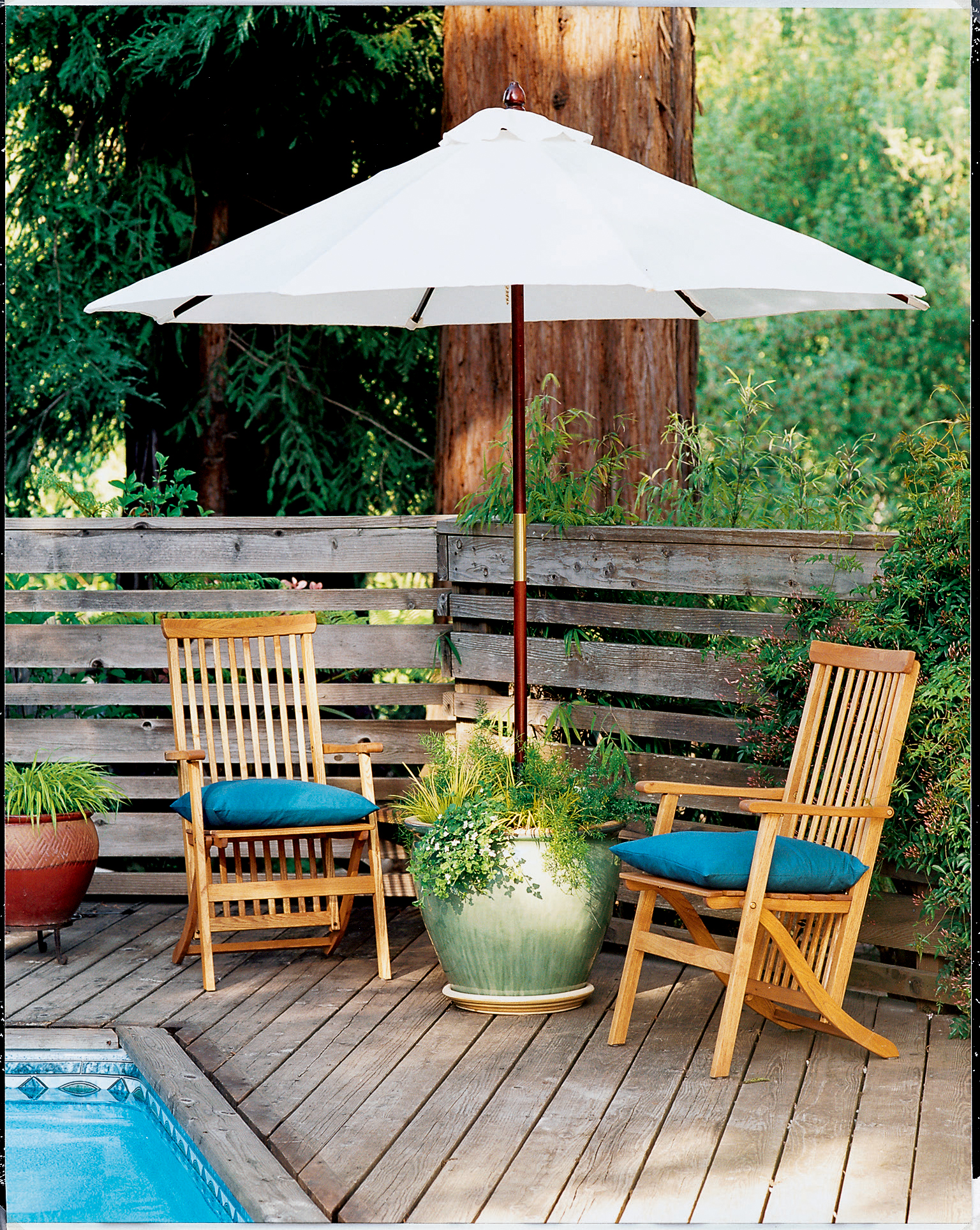 in-an-umbrella-stand