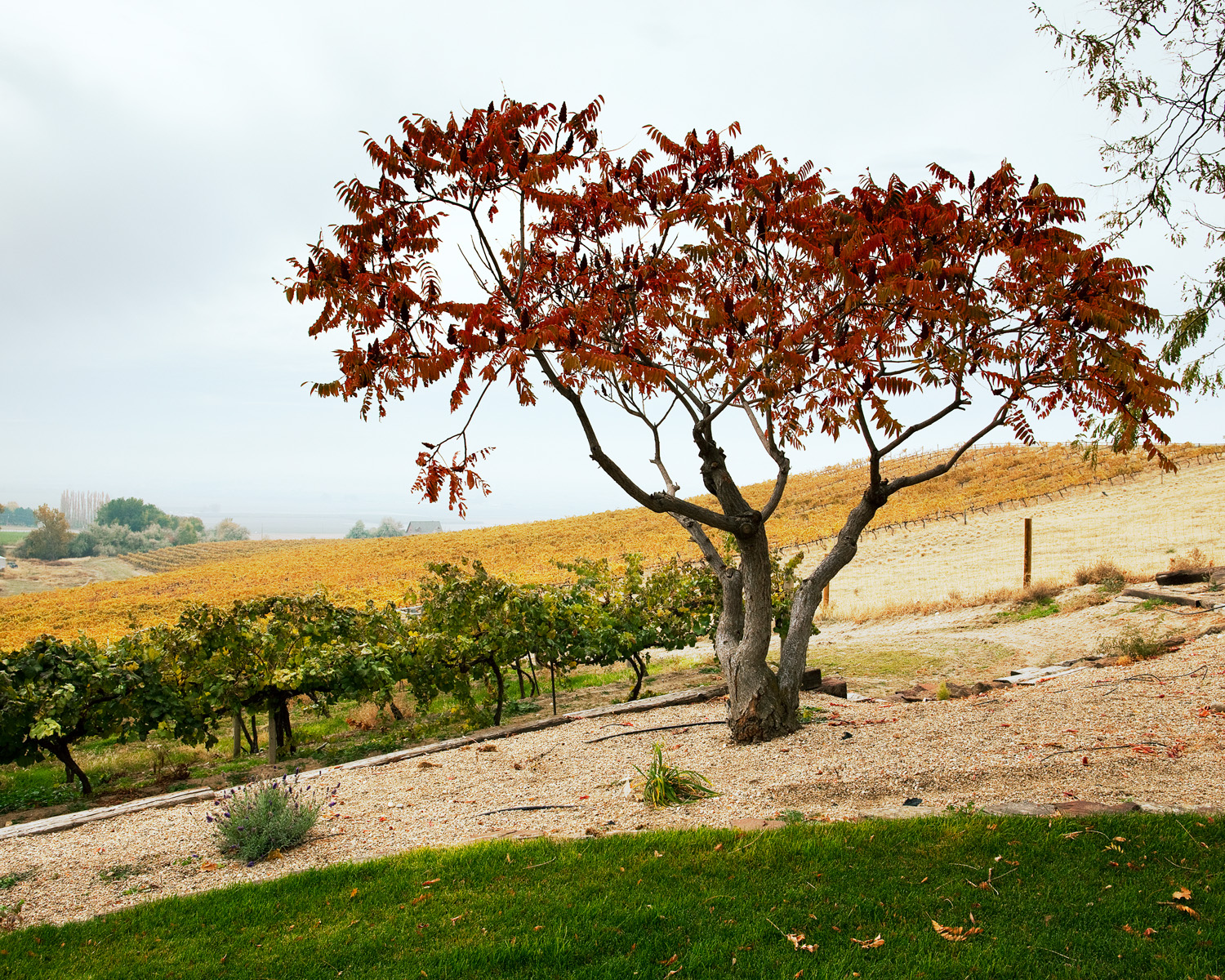 southwest-grand-valley-vs-snake-river-valley