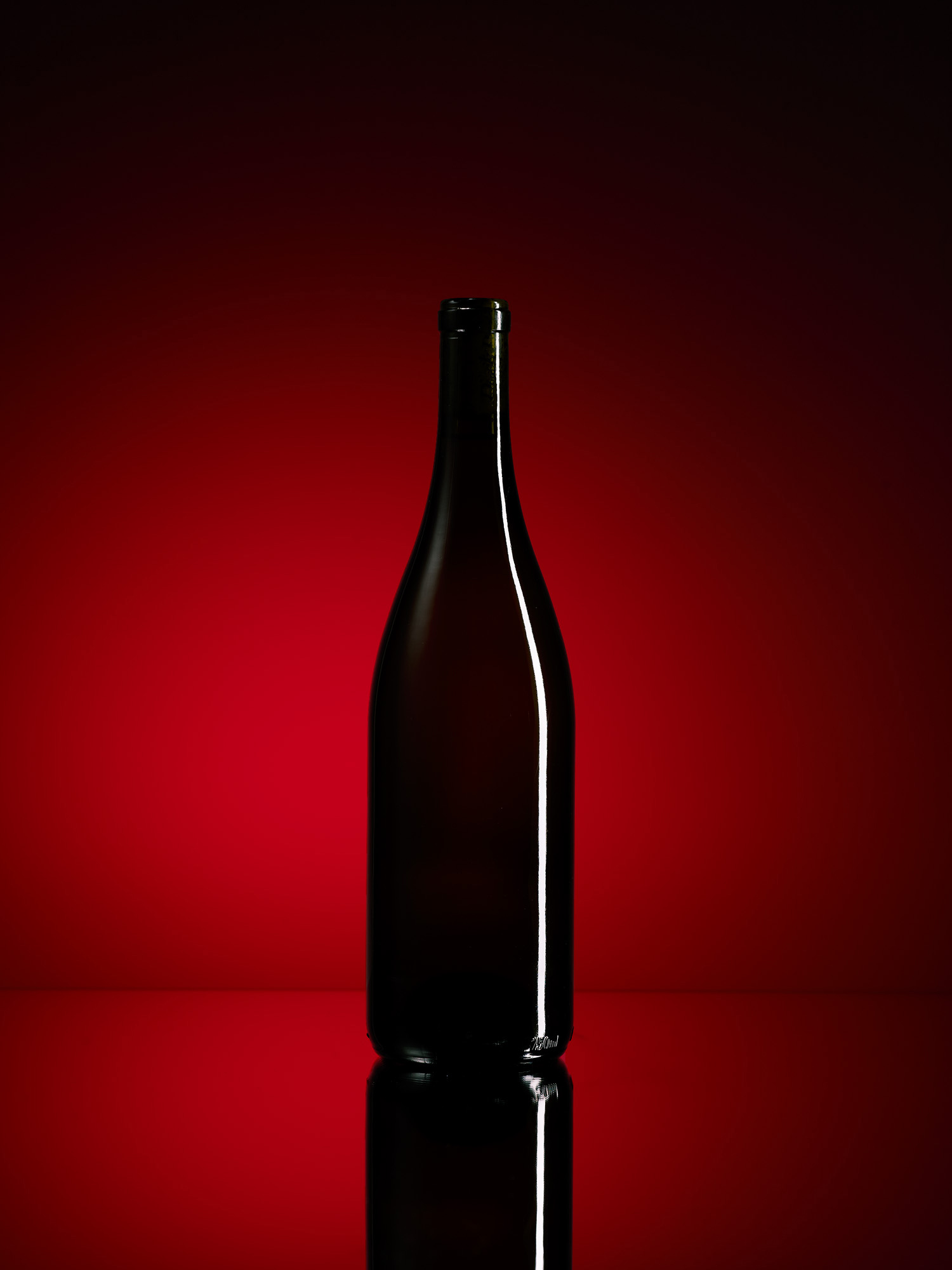 2013 Sunset International Wine Competition Judges