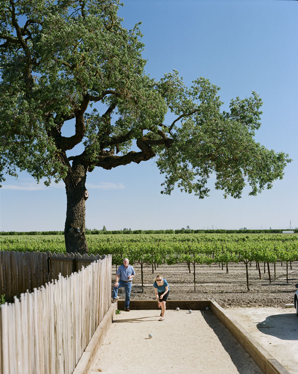 One Perfect Day in Lodi, CA