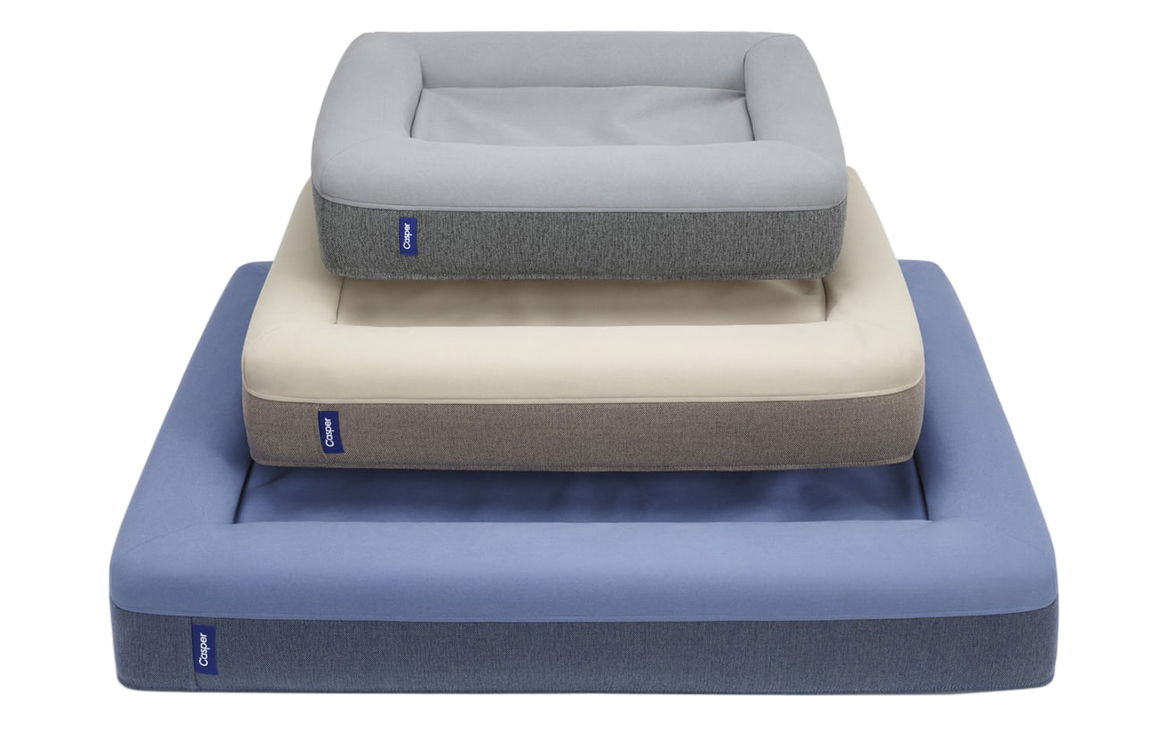 5 Genius Pet Gear Finds