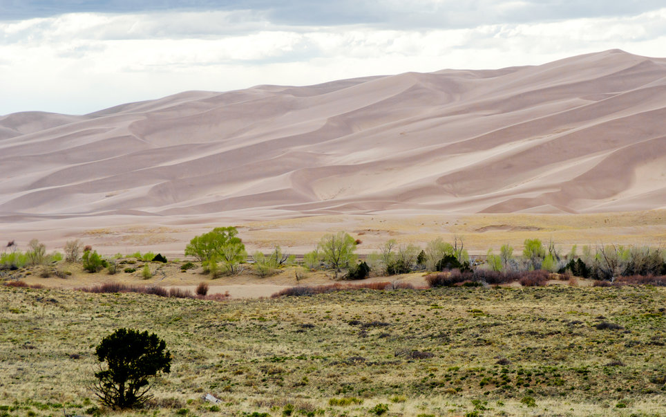 colorado-pinon-flats-campground-great-sand-dunes-national-park