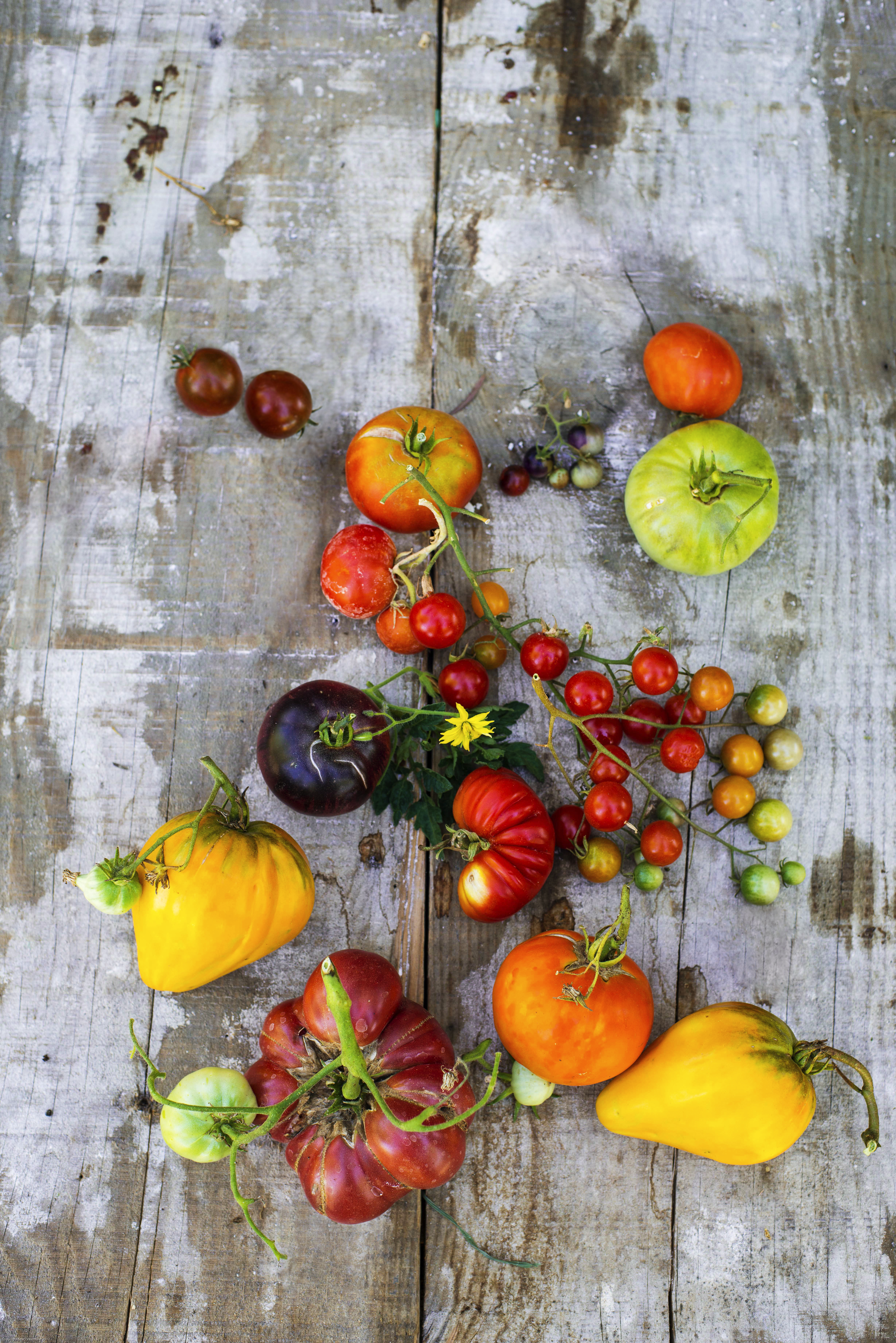 summer-harvest-recipes