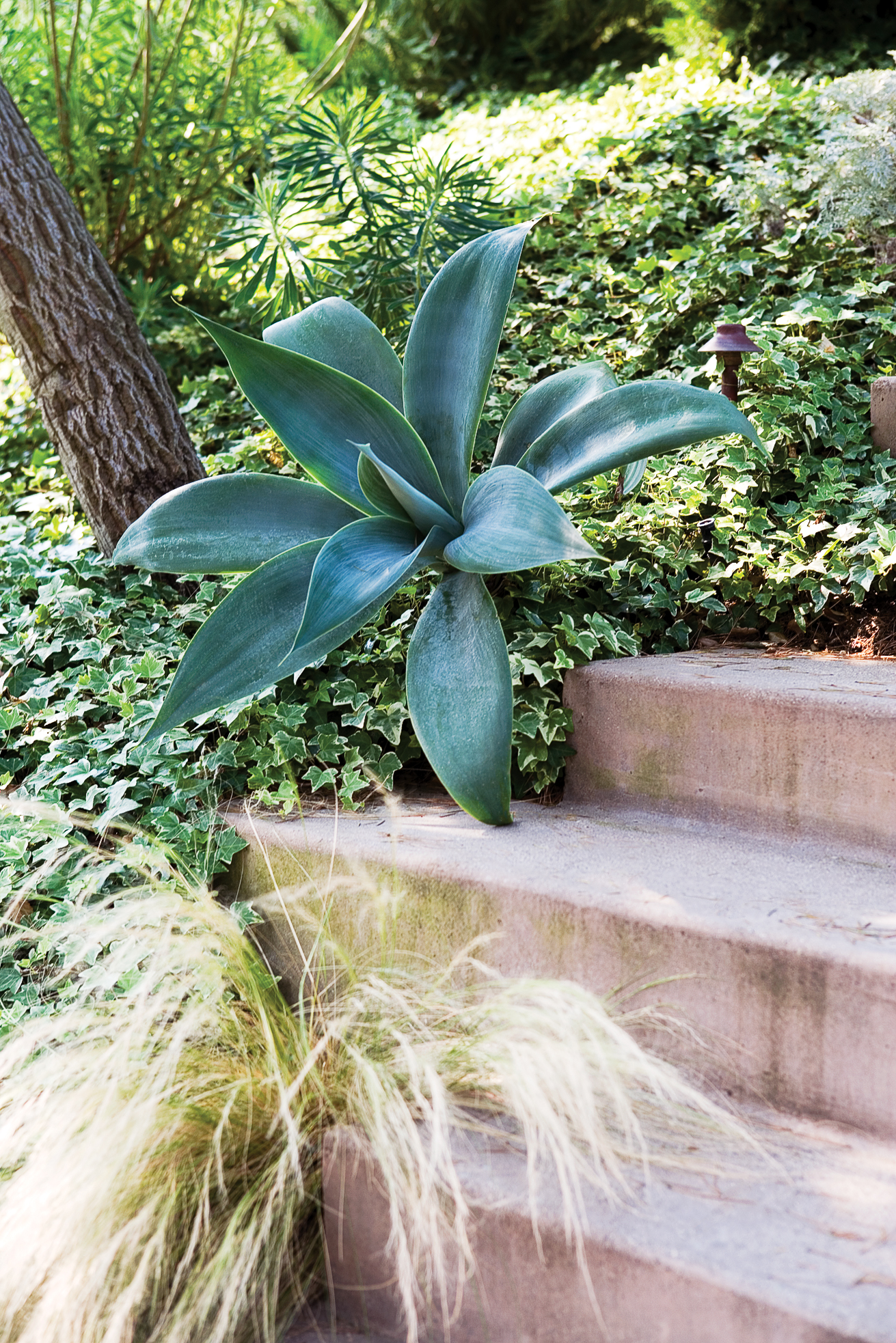 more-dream-garden-winners