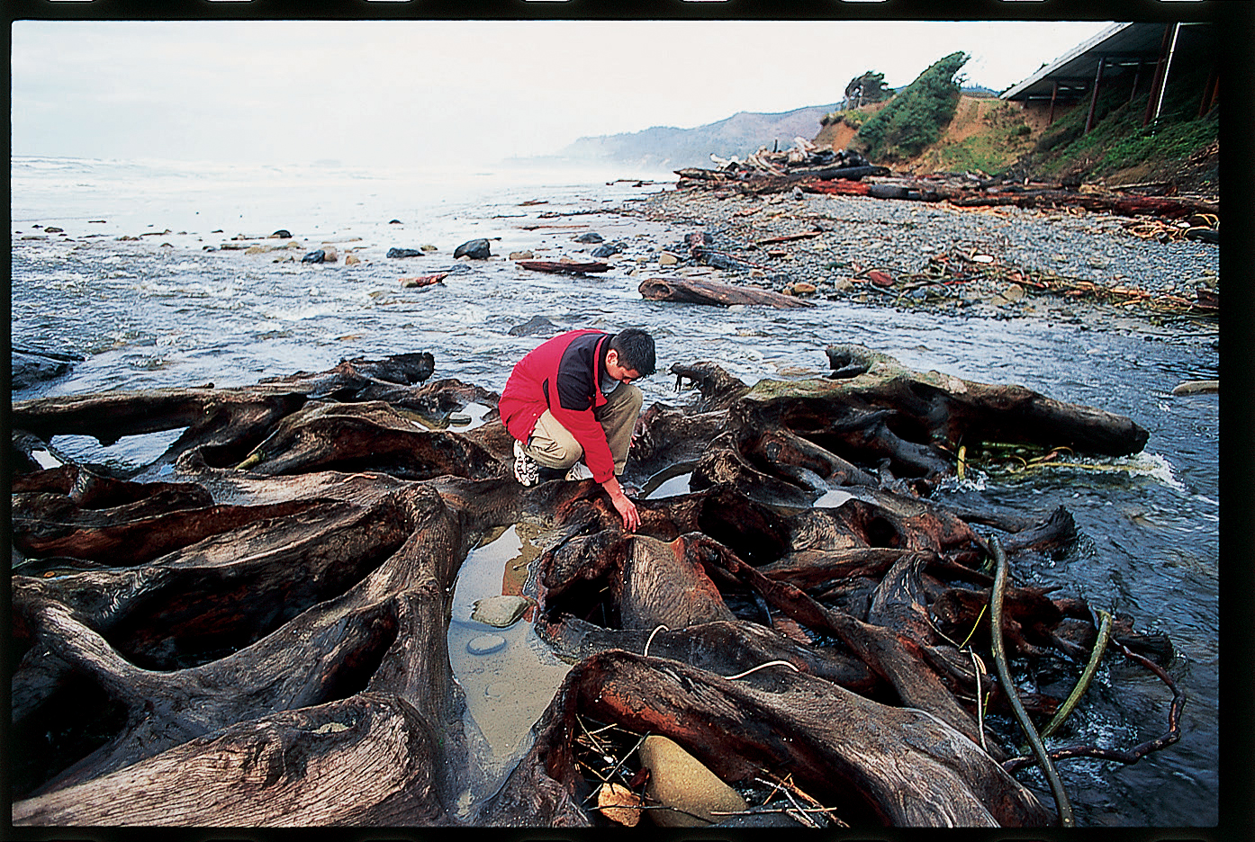 a-walk-along-on-the-oregon-coast