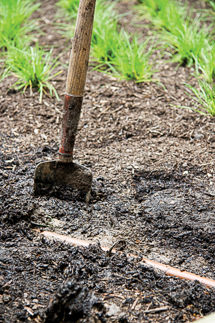 preserving-healthy-soil