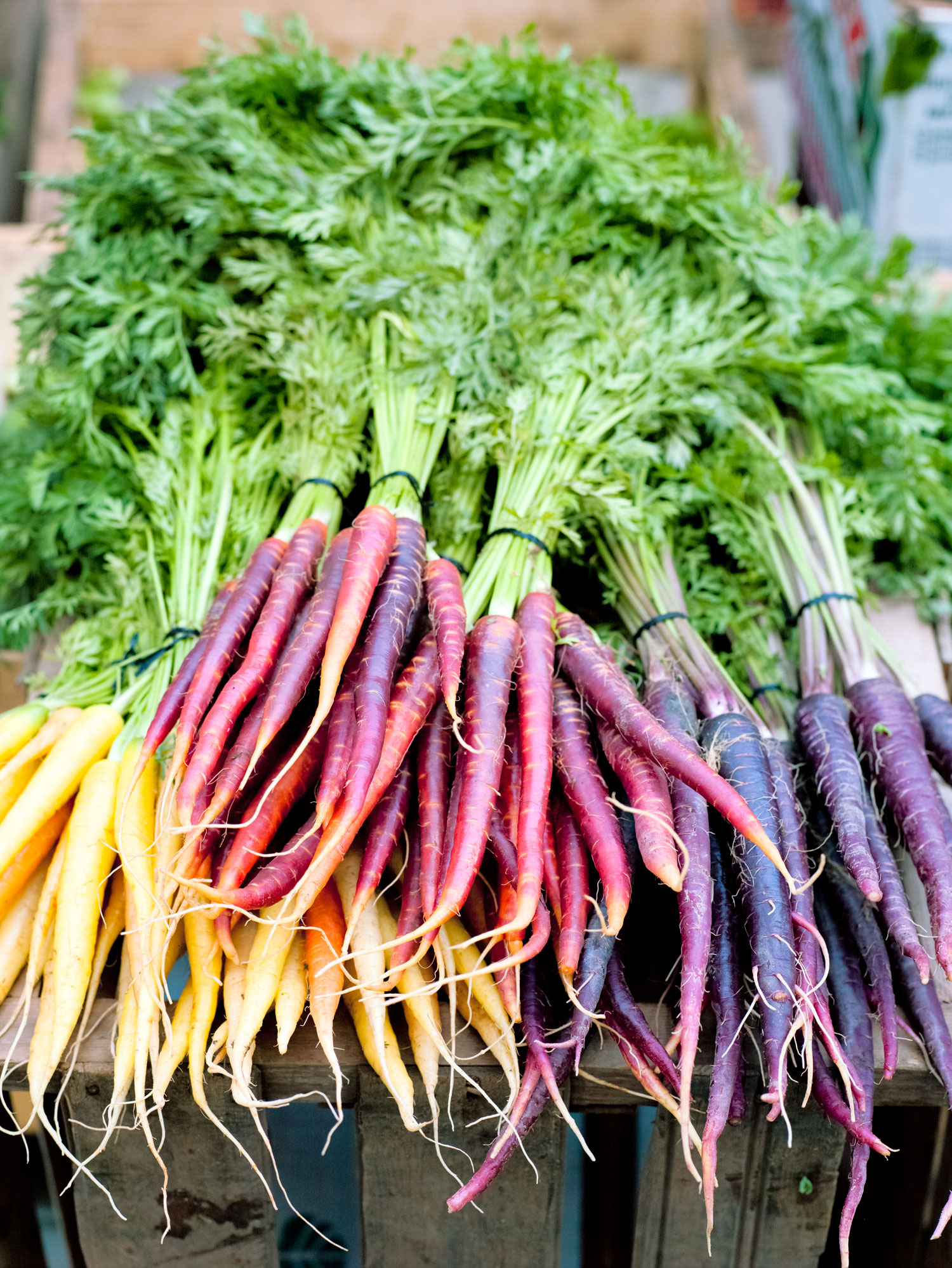 edible-gardening-zeitgeist