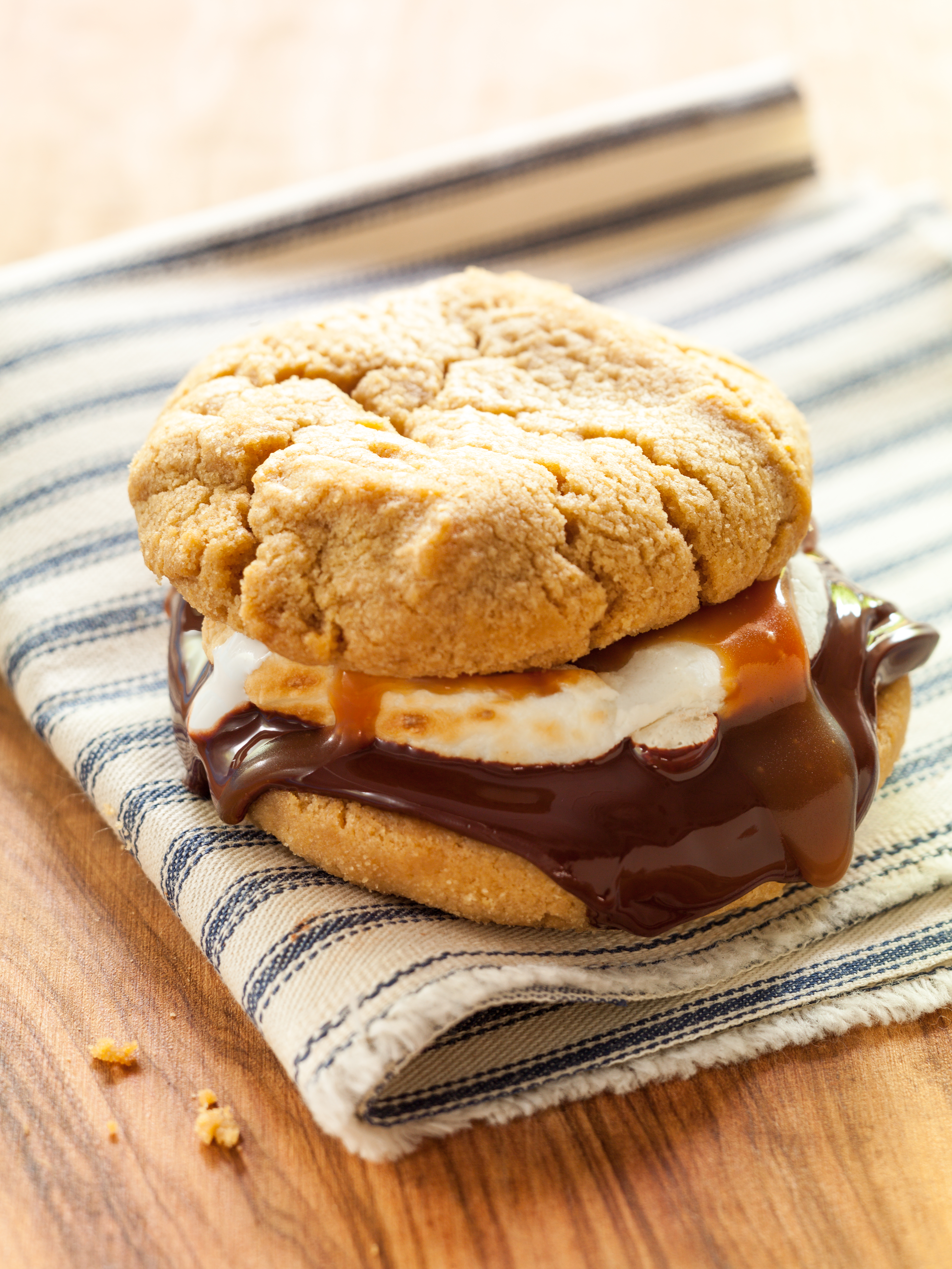 caramel-drizzled-smores