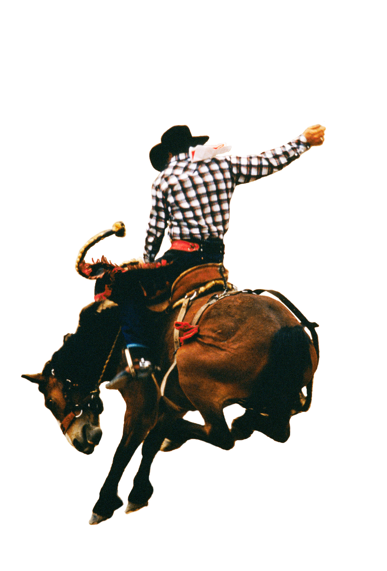 cheyenne-frontier-days-cheyenne-wy-jul-19-28