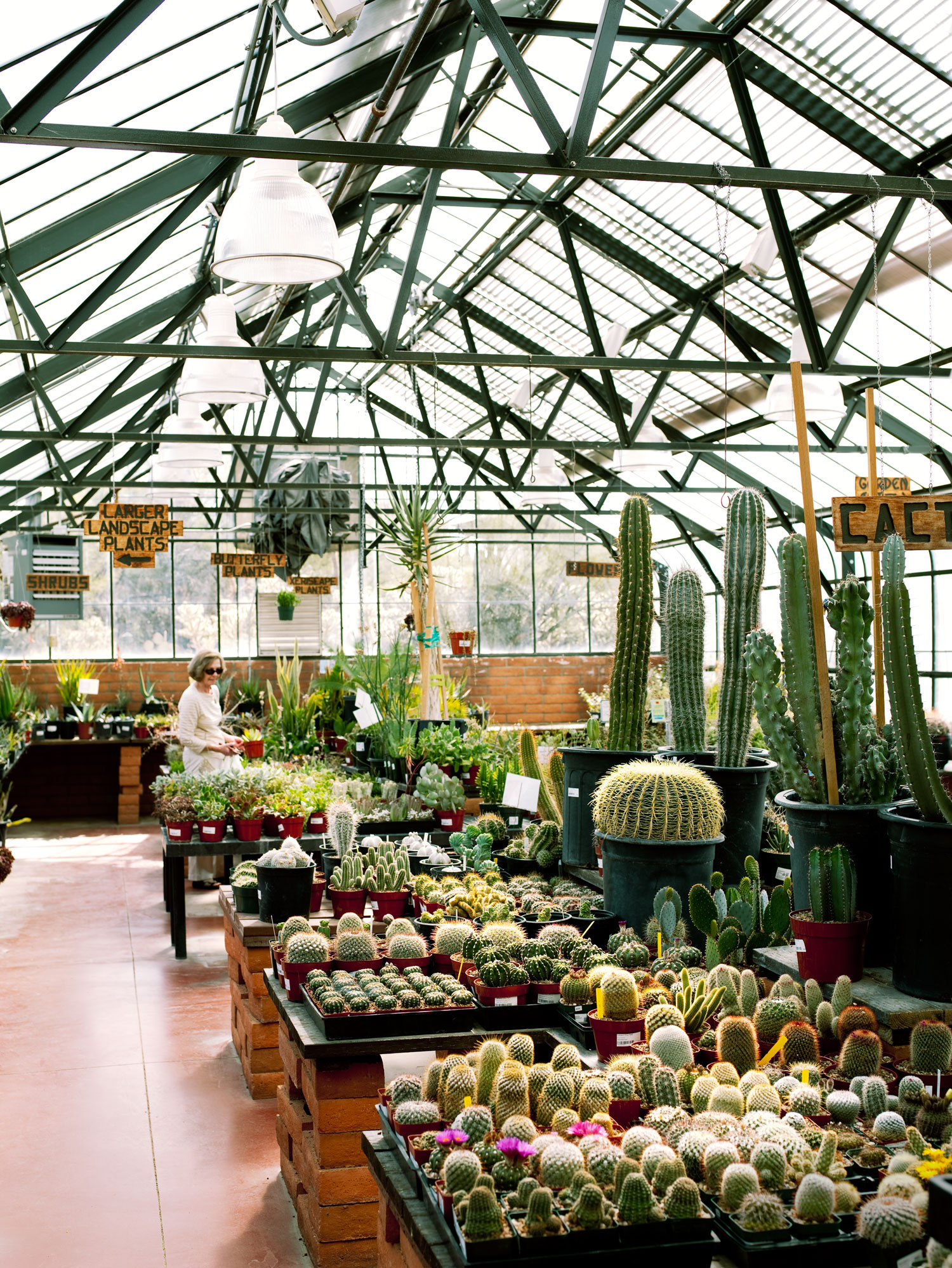 One Perfect Day at the Tucson Botanical Garden