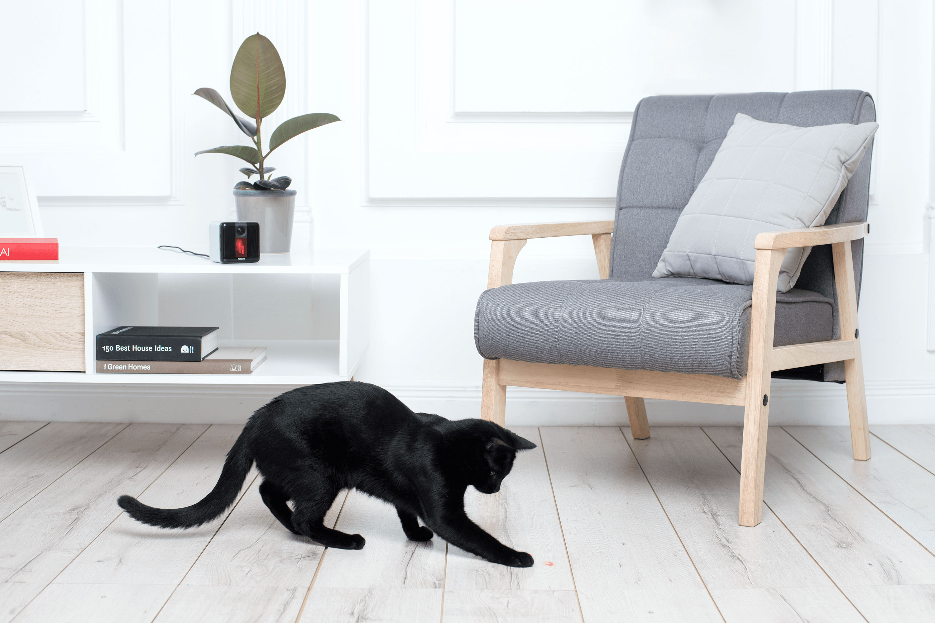 8 Devices to Make You a Better Pet Parent