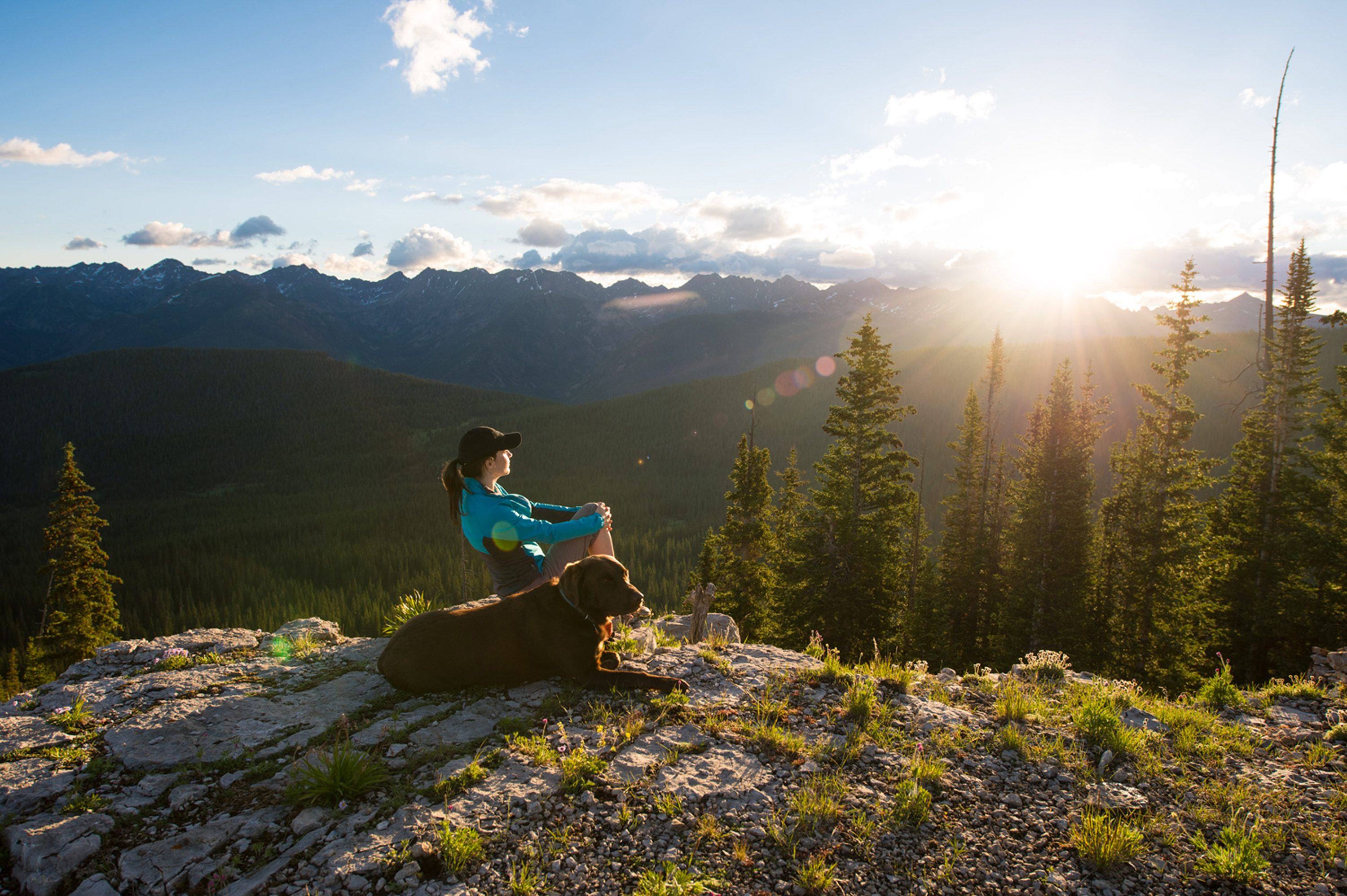 16 Stellar Pet-Friendly Hotels