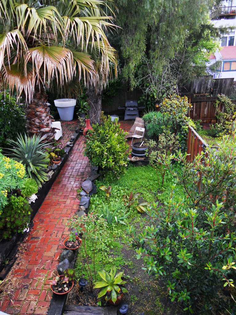 before-a-narrow-city-lot