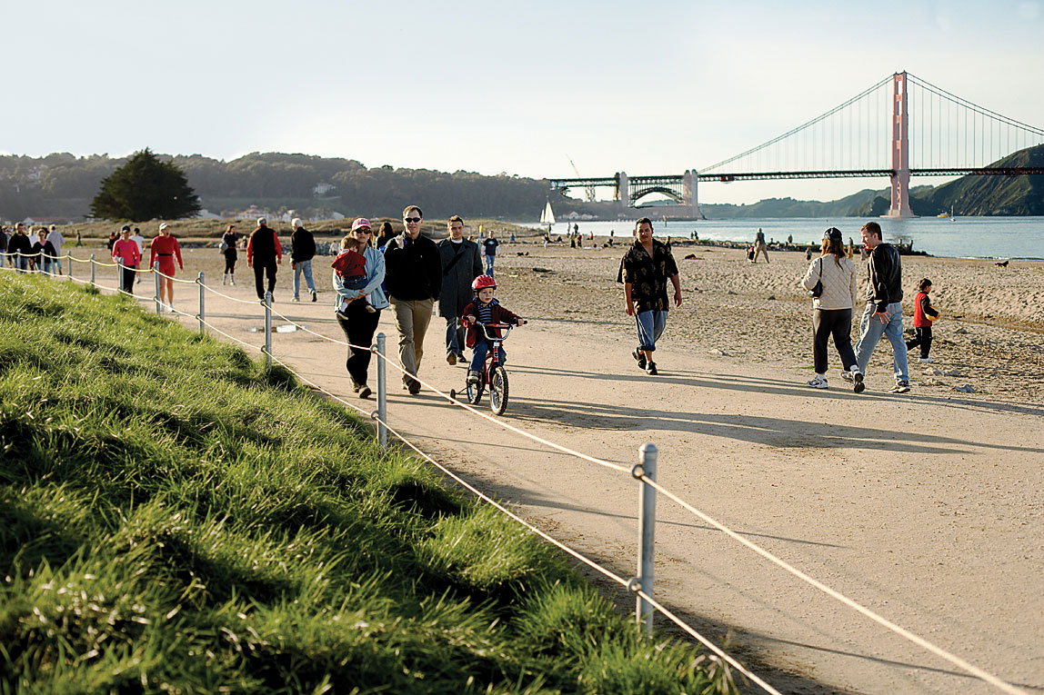 Teresa Marchese’s picks