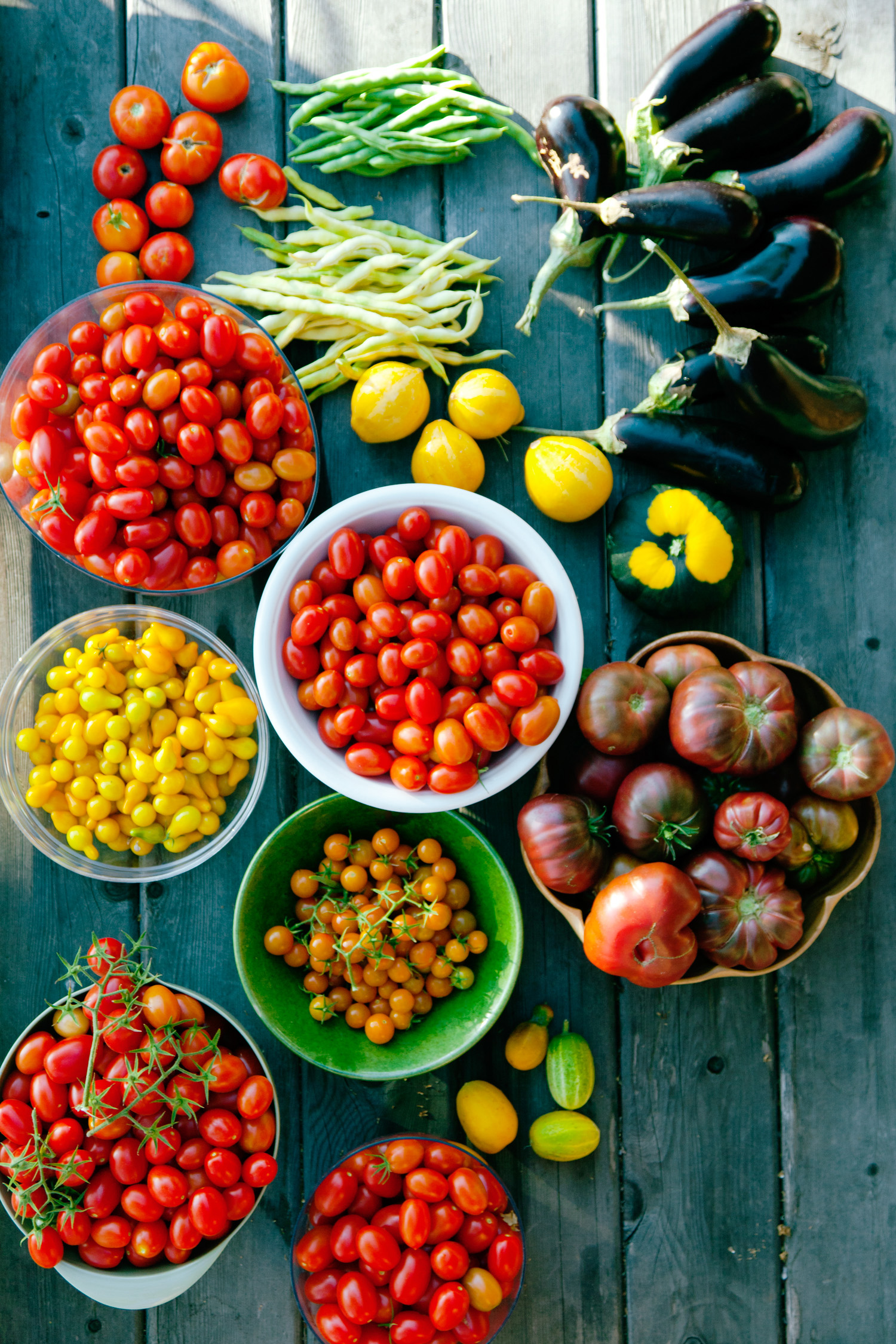 The Only Guide You Will Ever Need for Growing Tomatoes