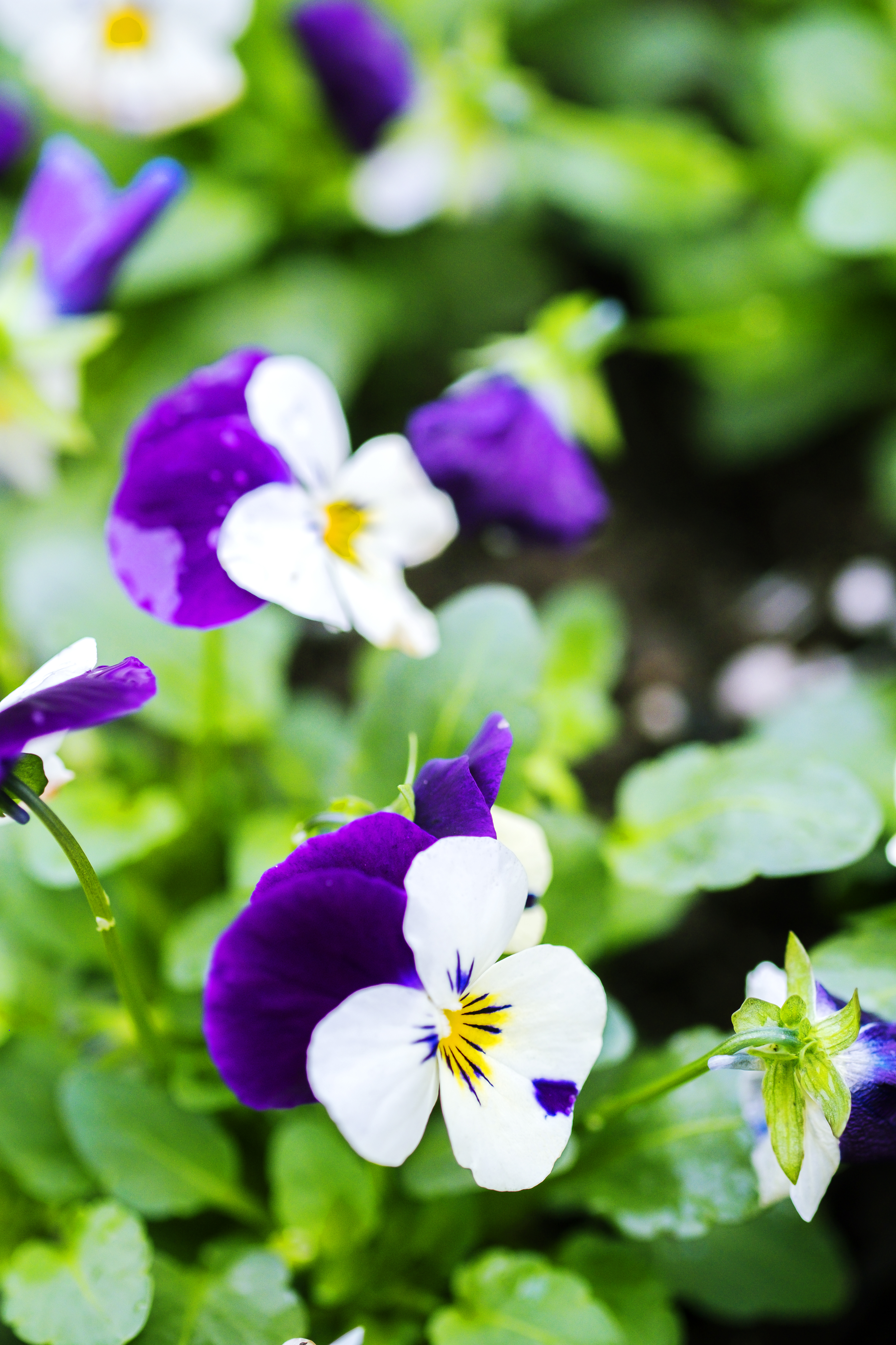 design-tip-mix-in-flowers