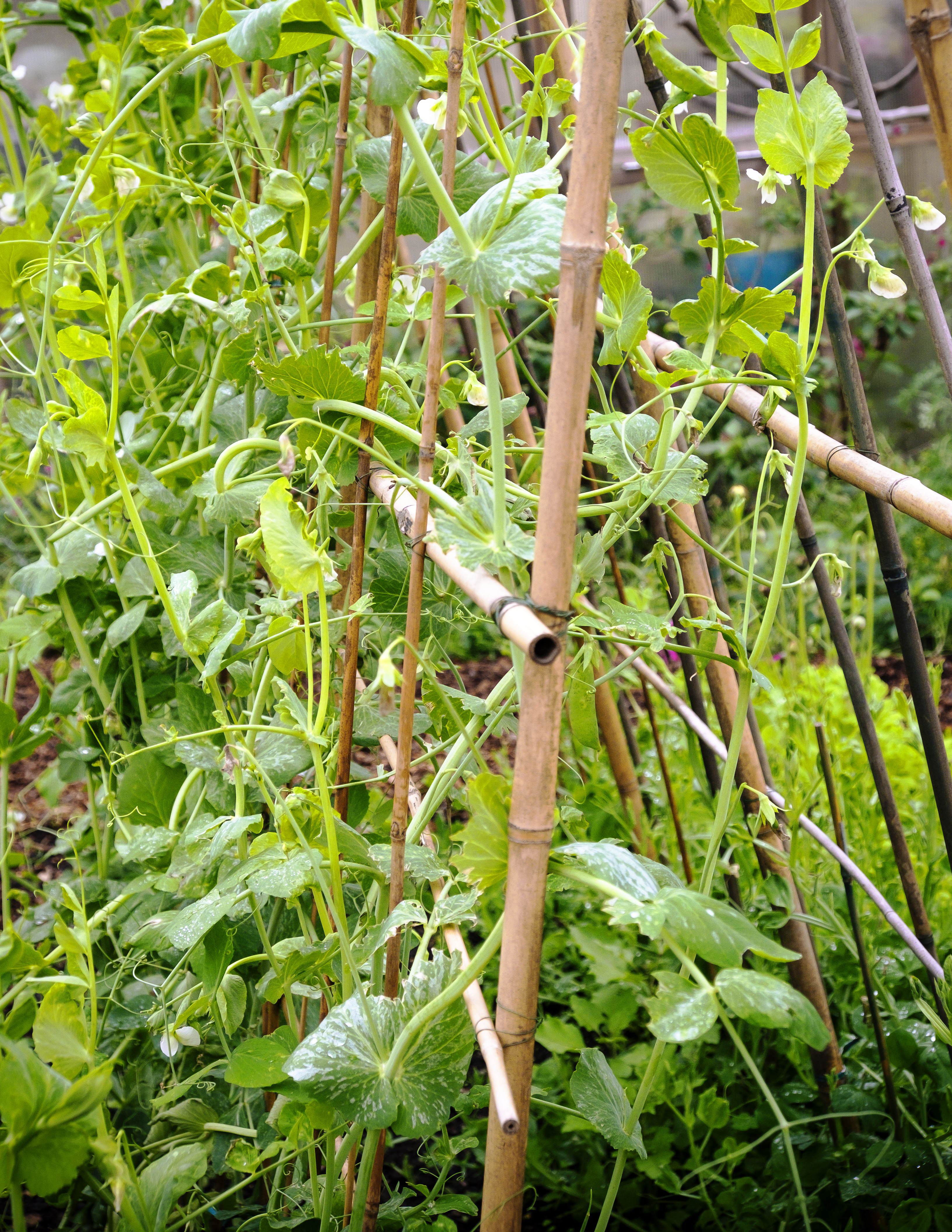 design-tip-use-support