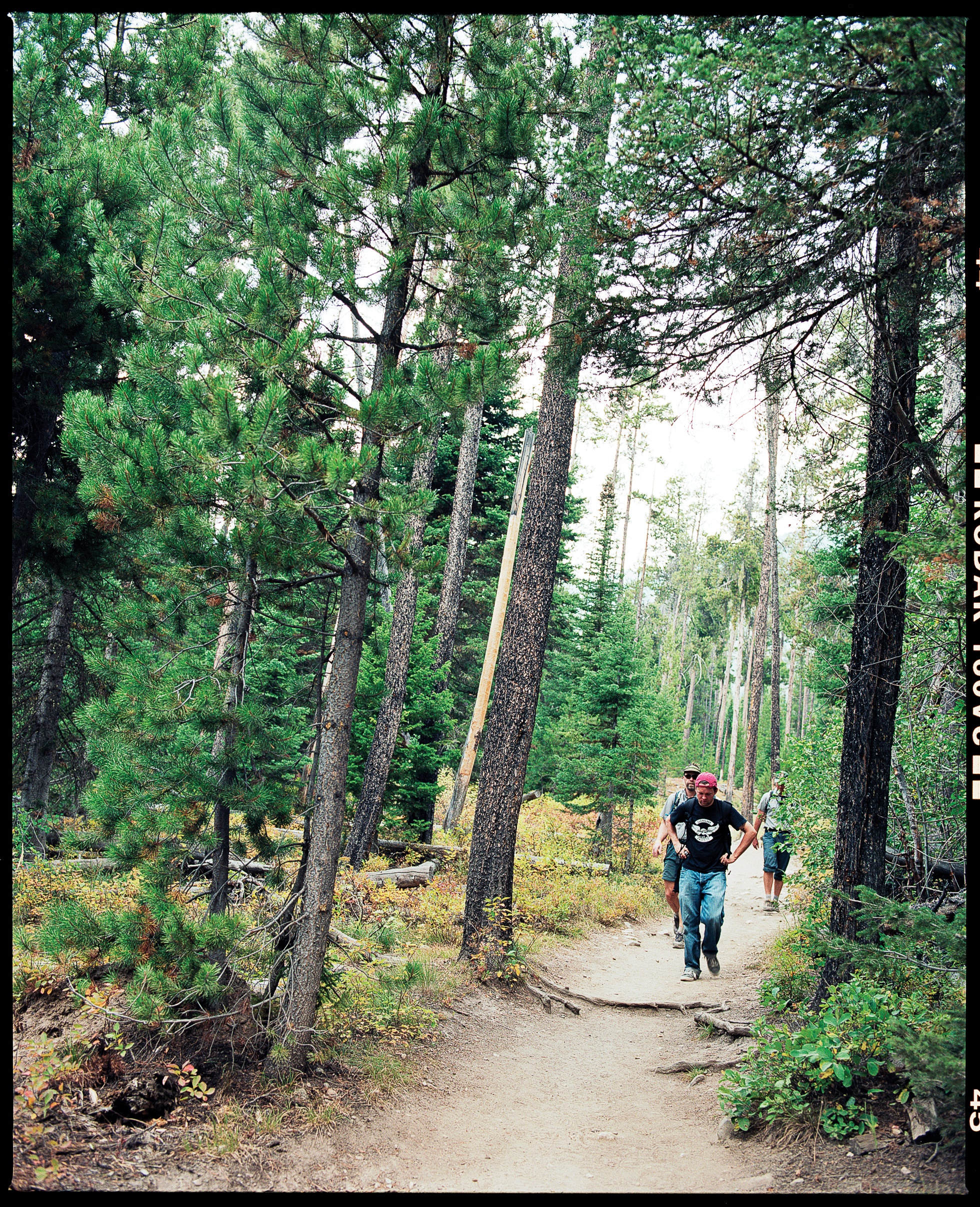 Your Best One Day at Grand Teton