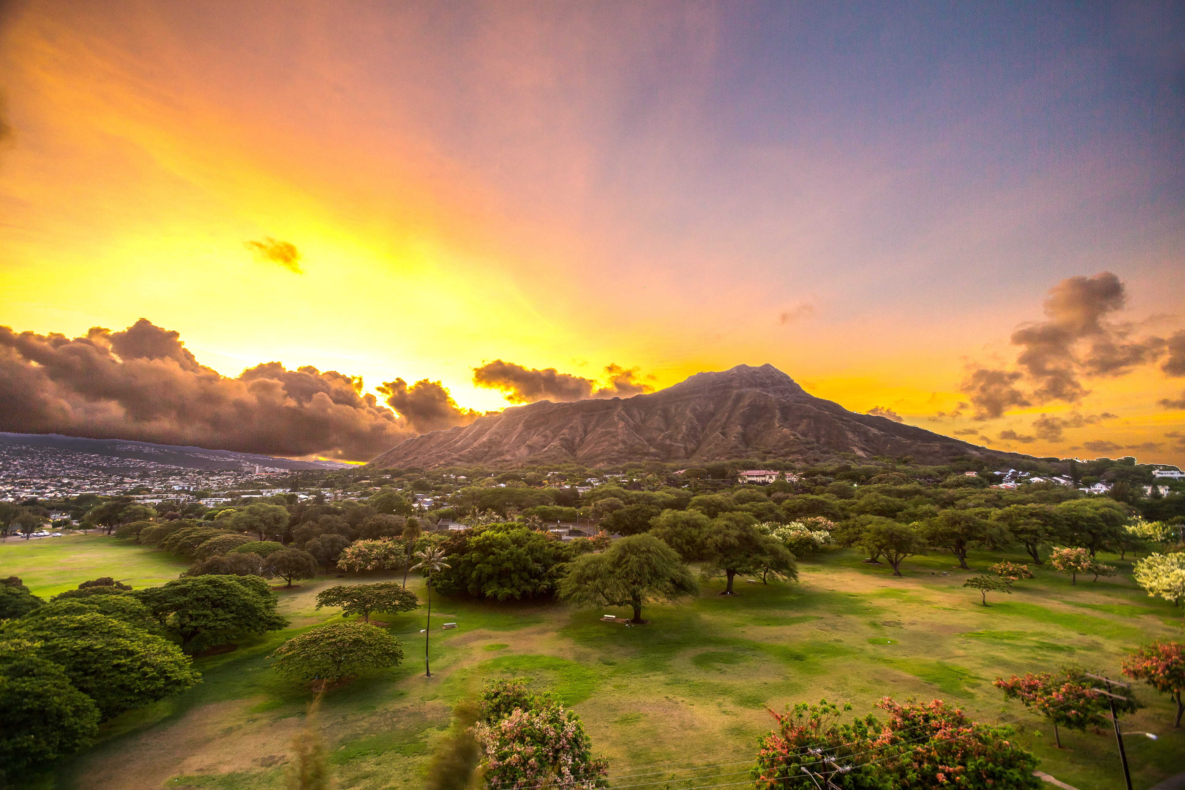 lotus-honolulu-at-diamond-head-honolulu-hi