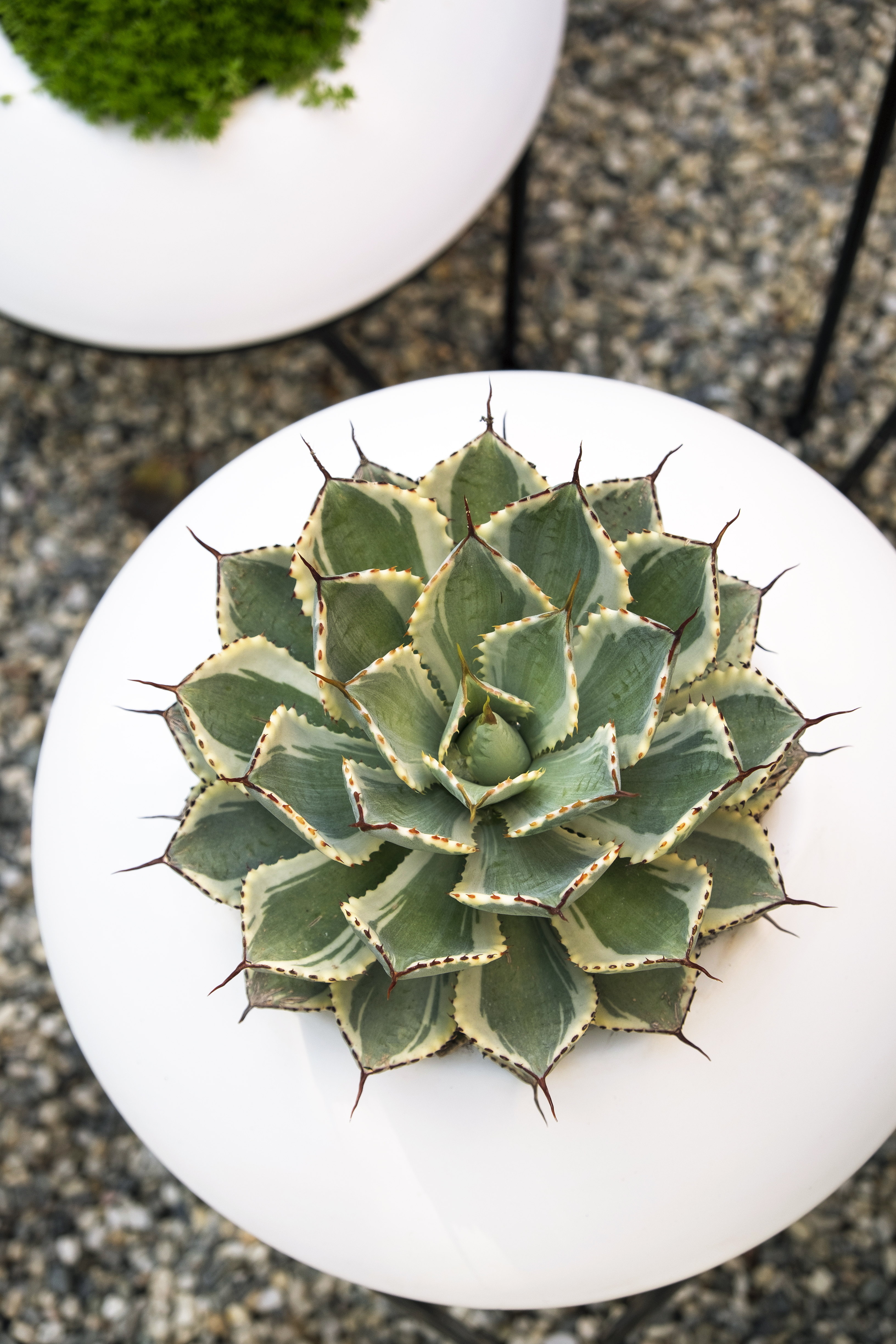 how-to-keep-them-happy