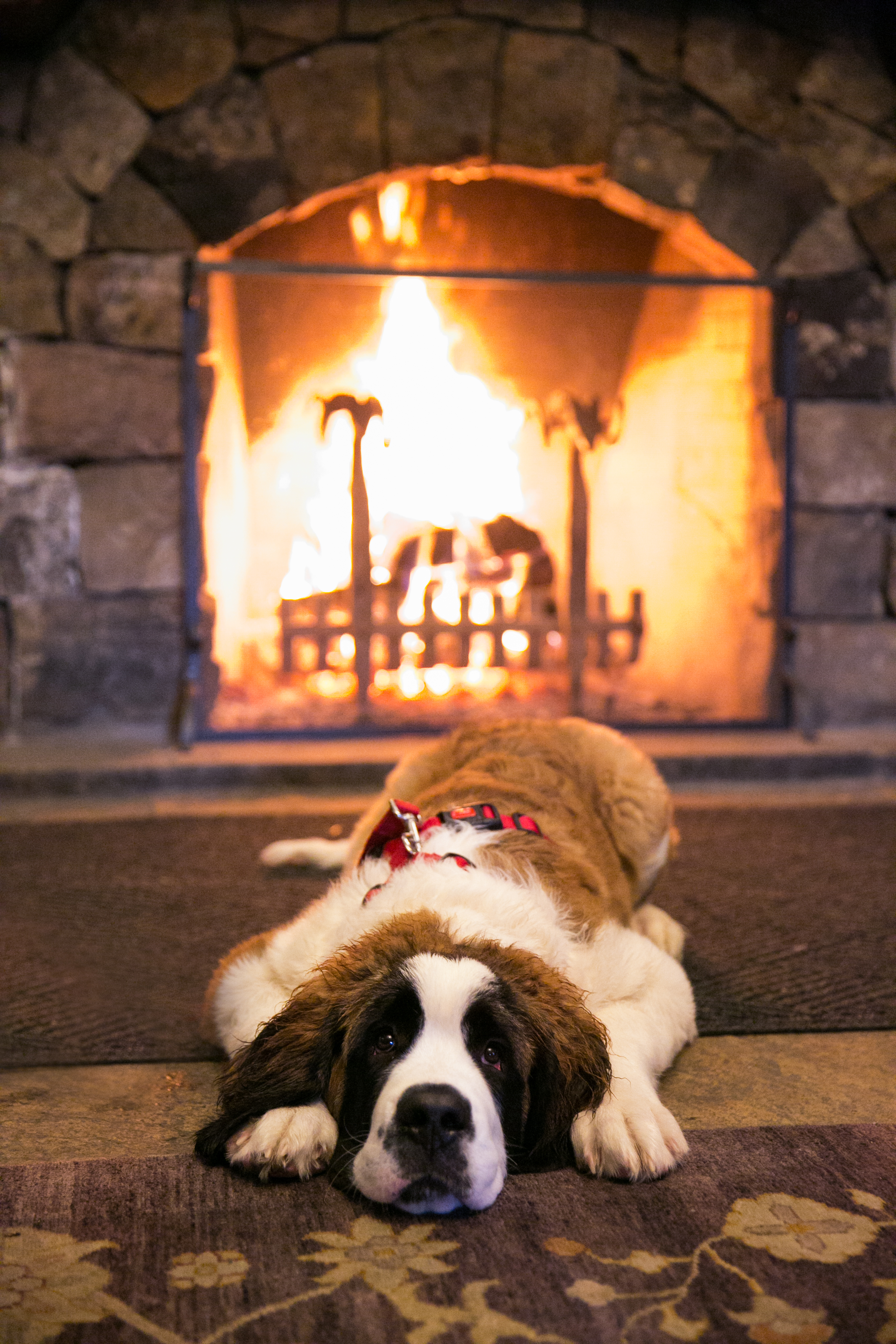 the-ritz-carlton-bachelor-gulch-beaver-creek-co