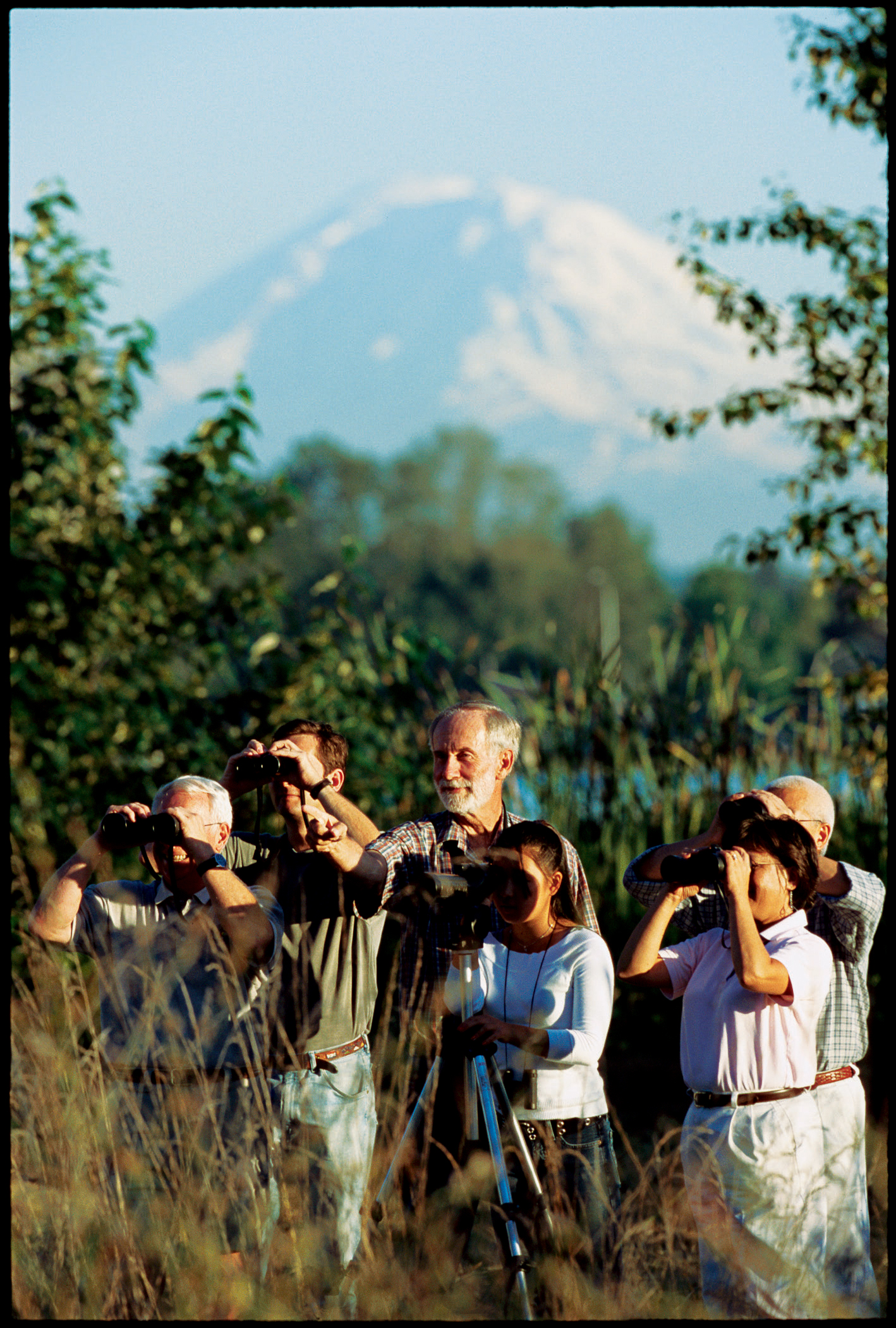 seattle-bird-watching