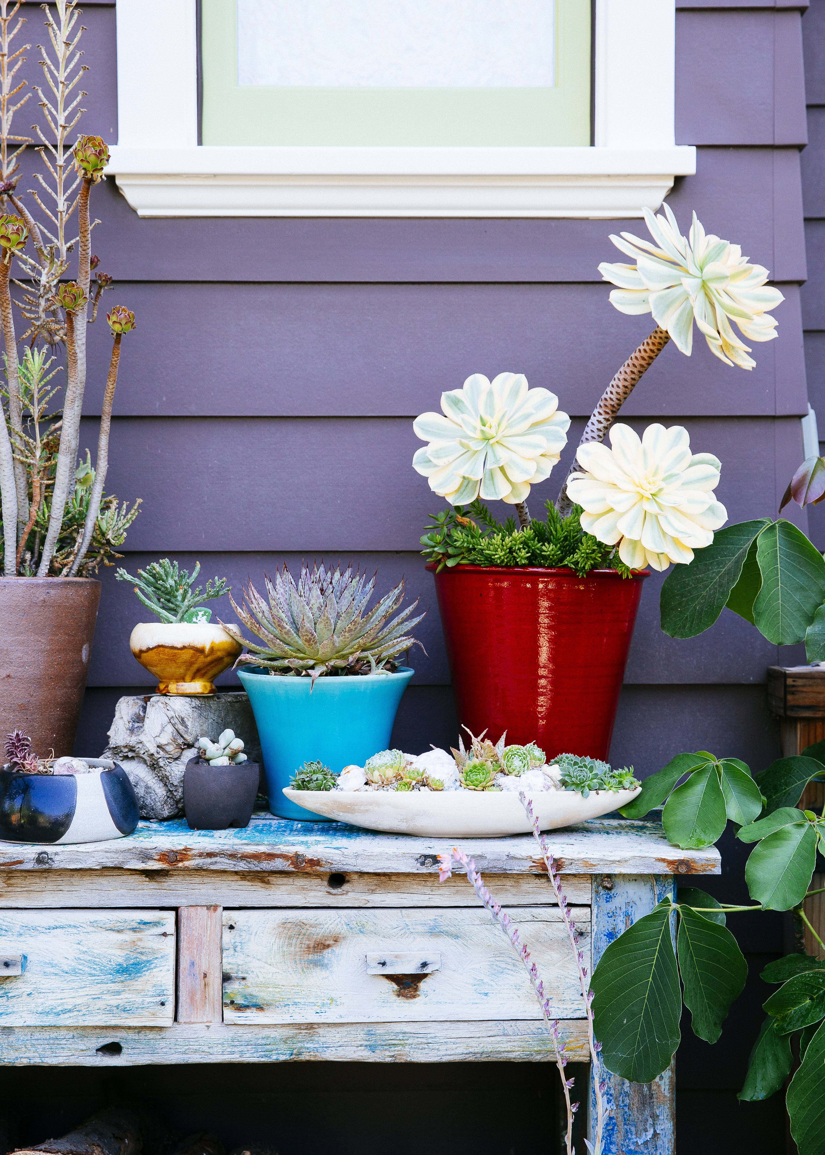 succulent-side-board