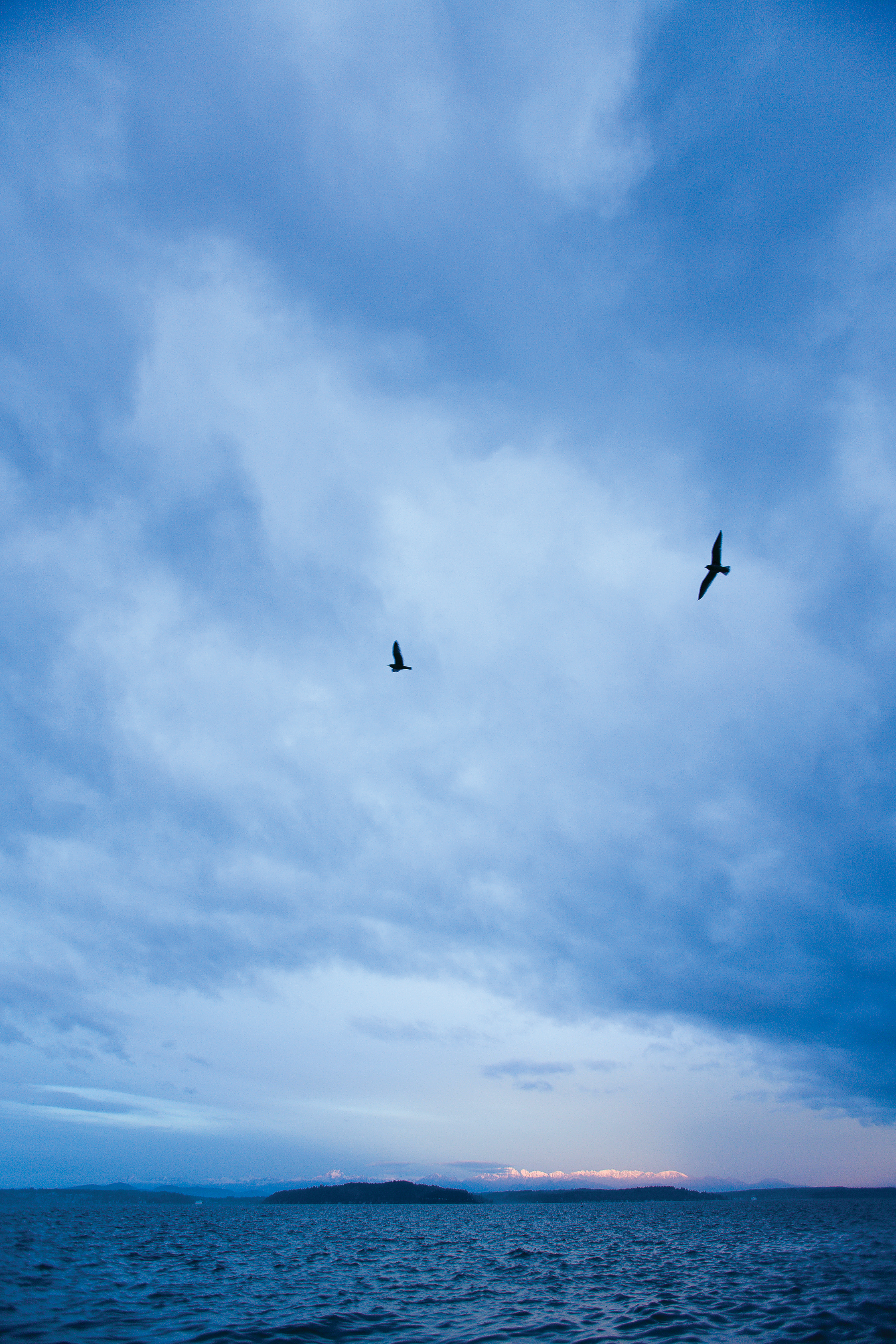 seattle-weather-watch-park