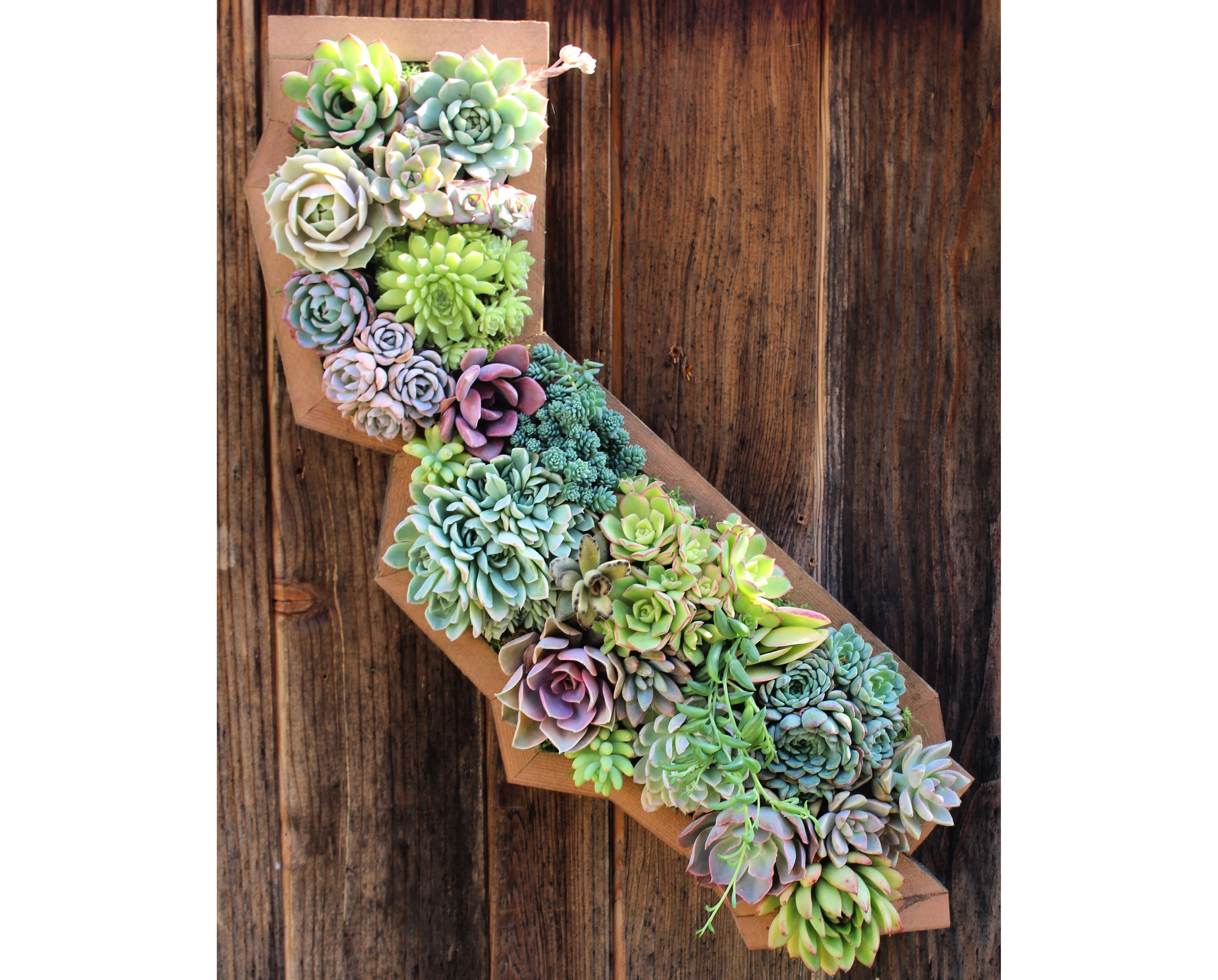 state-shaped-planter