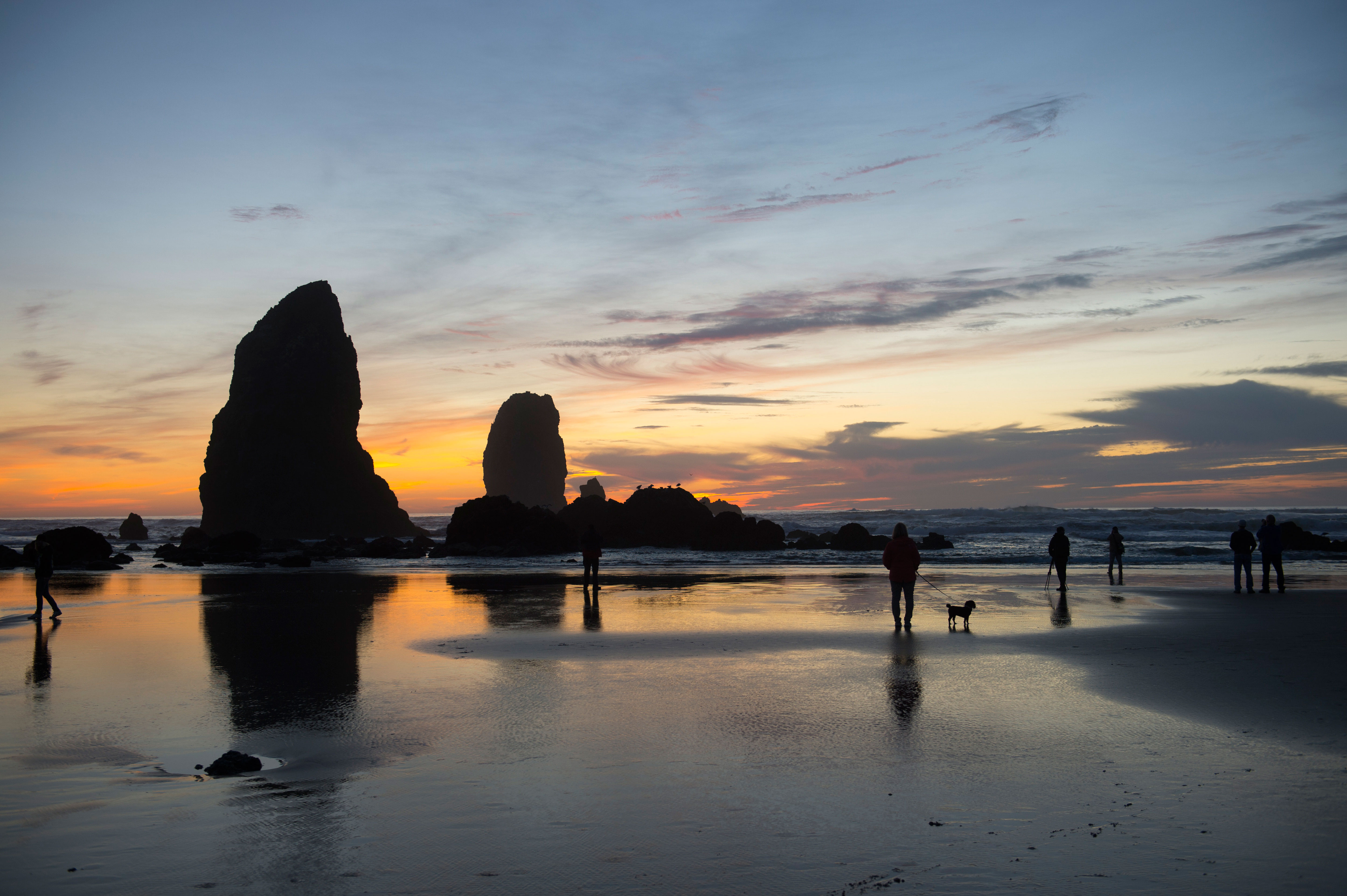 Plan the Best-Ever Beach Day with Your Dog